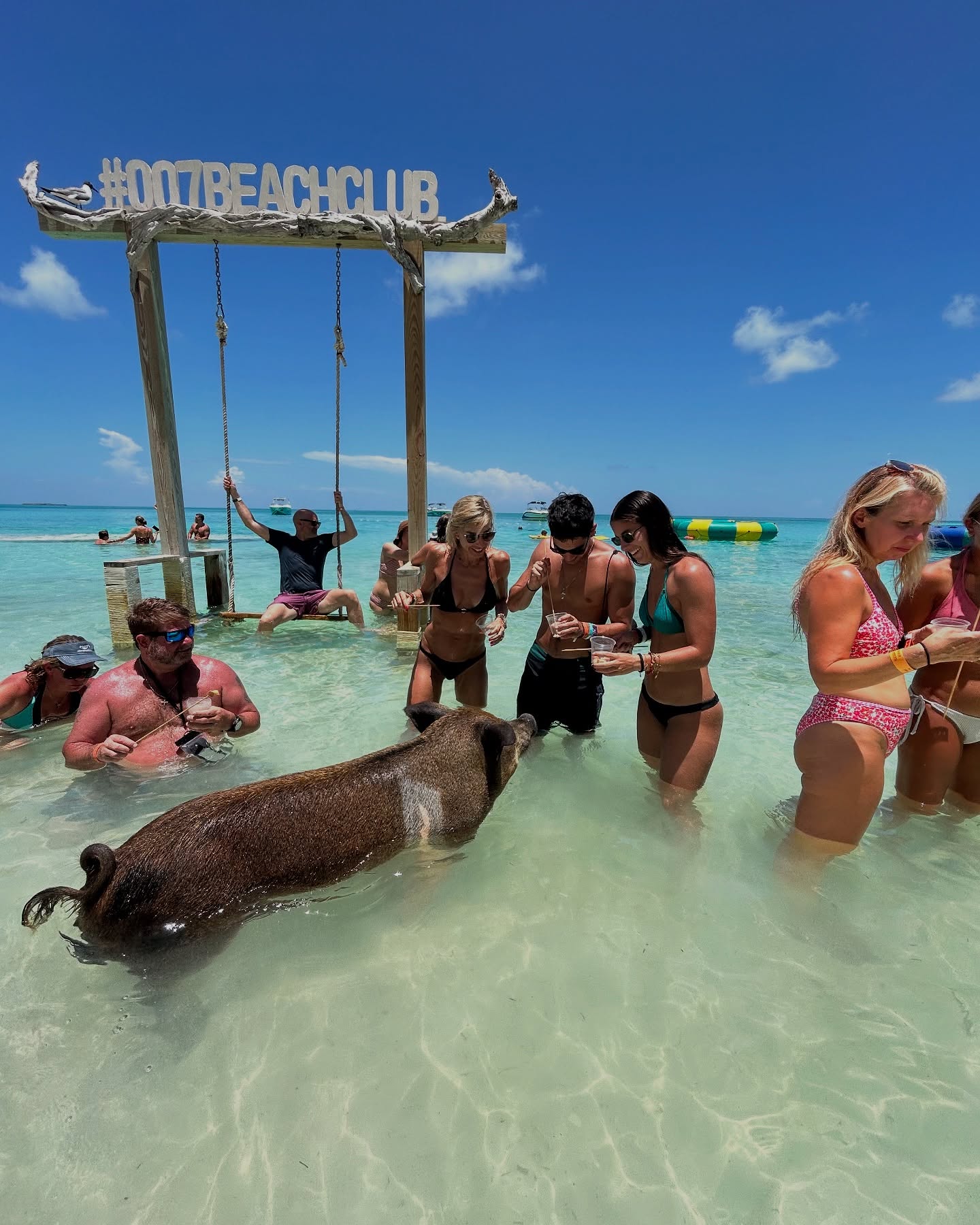 GOOD MORNING SUMMER 2025‼️ ❤️😎🐷
#007beachclub #swimmingpigs #roseislandbahamas #booknow