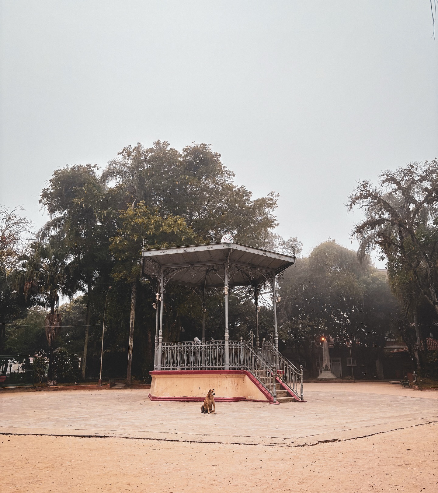 dias em que a gente sai pra buscar a foto & dias (a maioria deles) em que as fotos encontram a gente
dias em que as sessões em consultório iniciam com perguntas & dias em que as respostas nos encontram antes que se escreva a interrogação
~registros da última manhã de atendimentos antes das férias - e um sentimento esquisito de despedida da rotina 🥀
