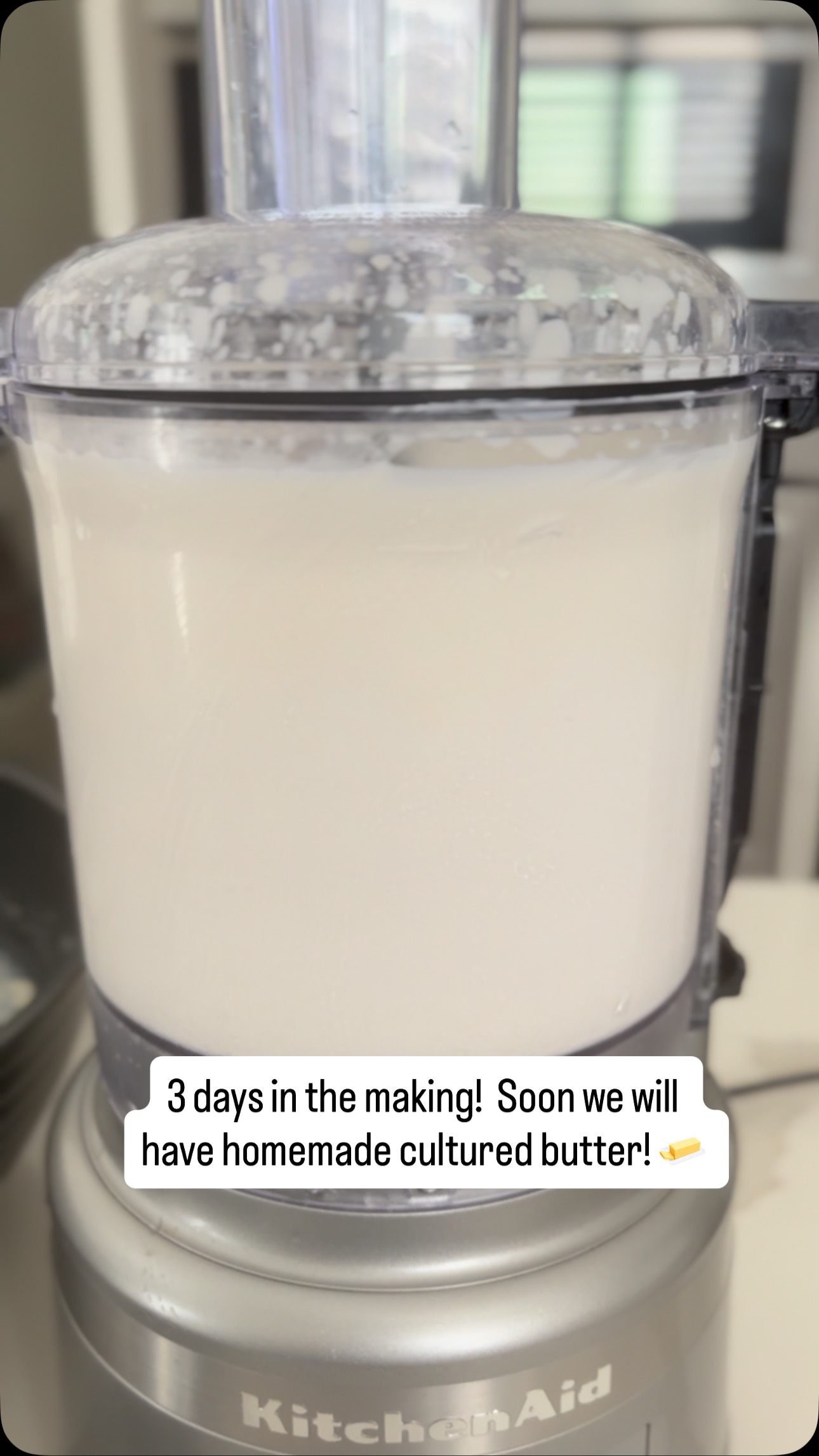 Homemade cultured butter 🧈 on the way!
#careerbreak #butter #foodiehome