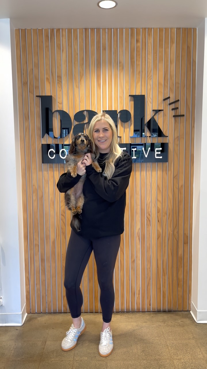 Touch me again and… oh hi! I’m Jillian, and yes — I’ll probably greet your dog before I say hi to you. 🐾🙋♀️
At Bark Collective, we can’t help it. Dogs come first here always! Boarding, daycare, training… we do it all with a smile (and usually a dog in our arms).
#BarkCollective #LuxuryDogDaycare #CostaMesaDogs #DogTrainerLife #DogTok #BestDogBoarding