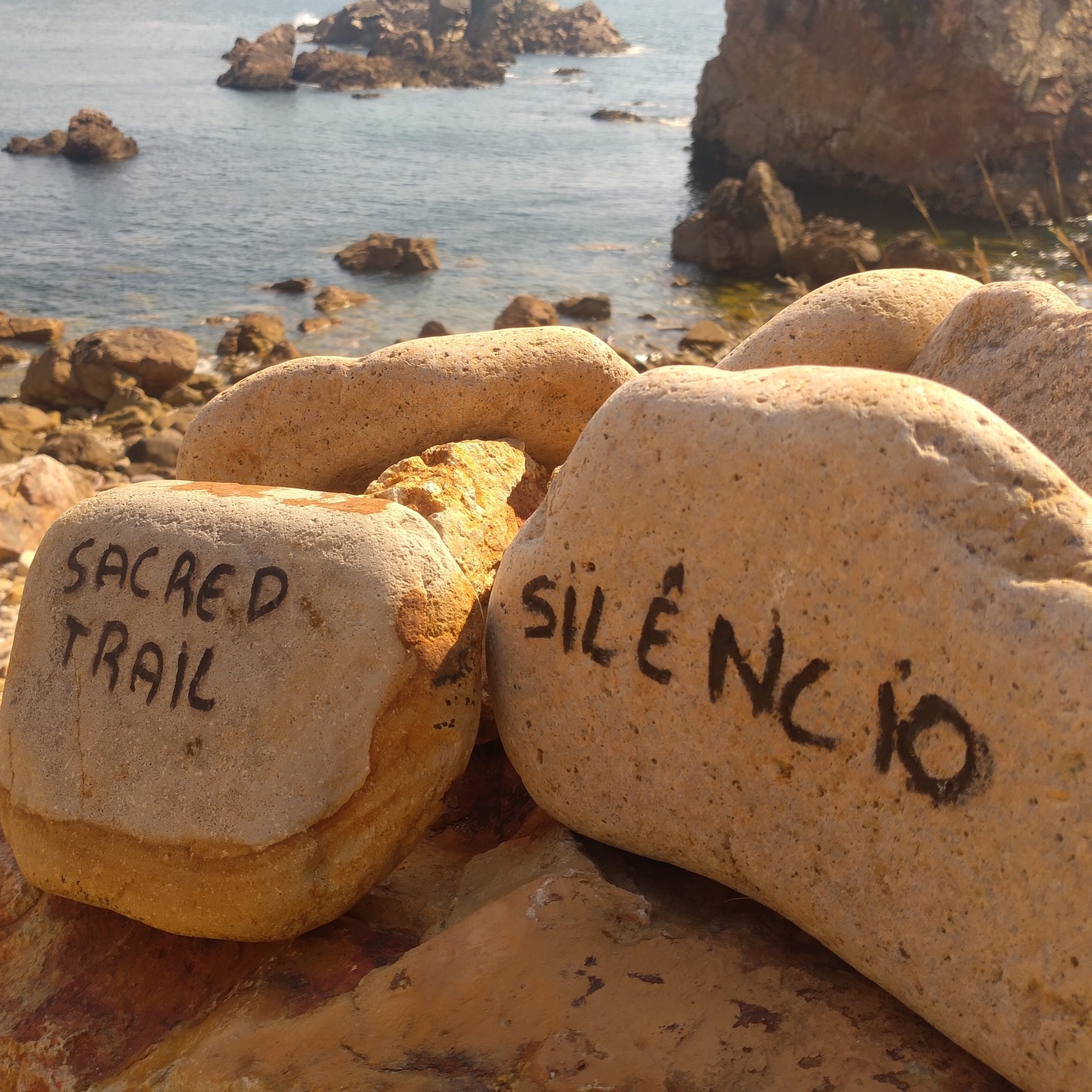 Guincho Velho is full of natural surprises. In several photos I took there, you can spot Dianthus lusitanus — a native flower of the Iberian Peninsula, thriving in the rocky, dry habitats of the Sintra-Cascais Natural Park.
#GuinchoVelho #SintraCascais #DianthusLusitanus #WildPortugal #BotanicalBeauty #IberianFlora #NativePlants #HiddenPortugal #EcoTourism #NaturePhotography #SustainableTravel #WildflowerWatch #NaturalWonders #PortugalNature #VisitPortugal #WesternmostRoute #NatureLovers #RockyLandscapes #FloraIberica #SintraSecrets