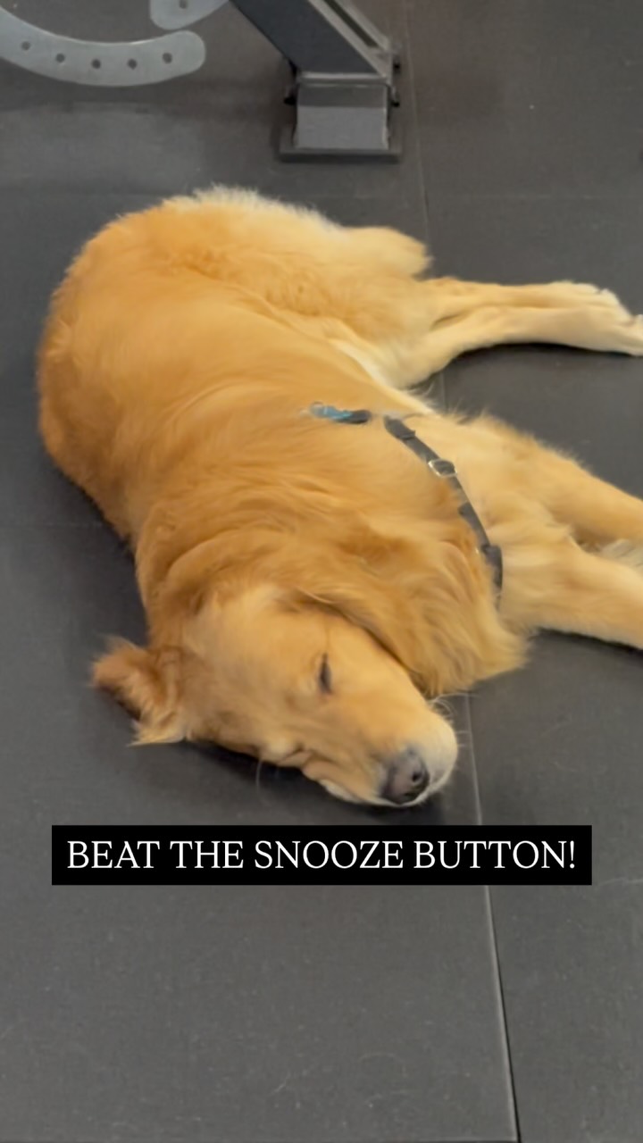 Front-load your training week‼️
Looking at a busy week?
Get sessions in earlier in the week so you don’t have to worry about playing catch-up plus reap the cognitive benefits from exercise ✅