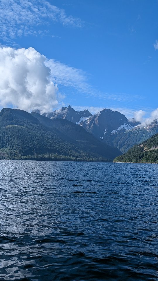 🎉 Happy BC Day! 🇨🇦🌲
How are you celebrating BC Day today?