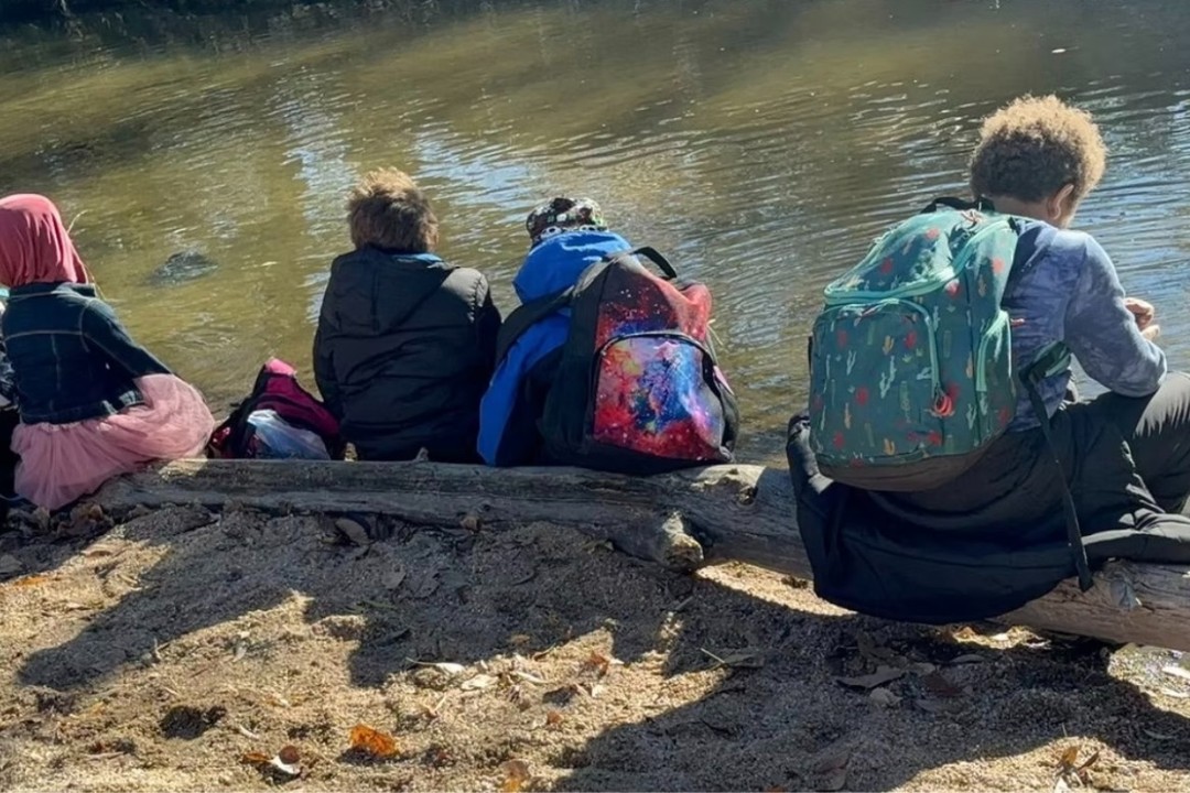 Discover the magic of outdoor learning at Colorado’s forest schools! 🌿✨ Children engage with nature, promoting creativity and deep understanding. Link in Bio