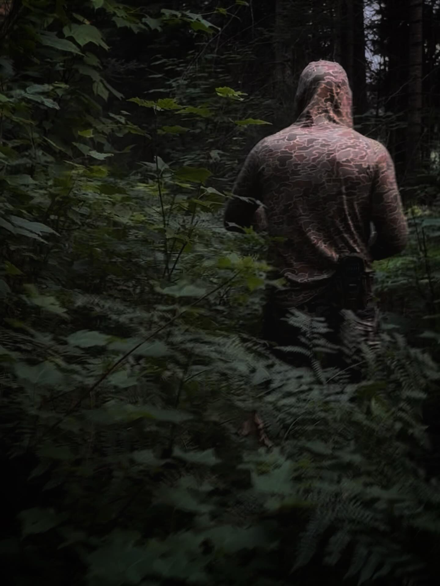 Pre-season scouting whitetail