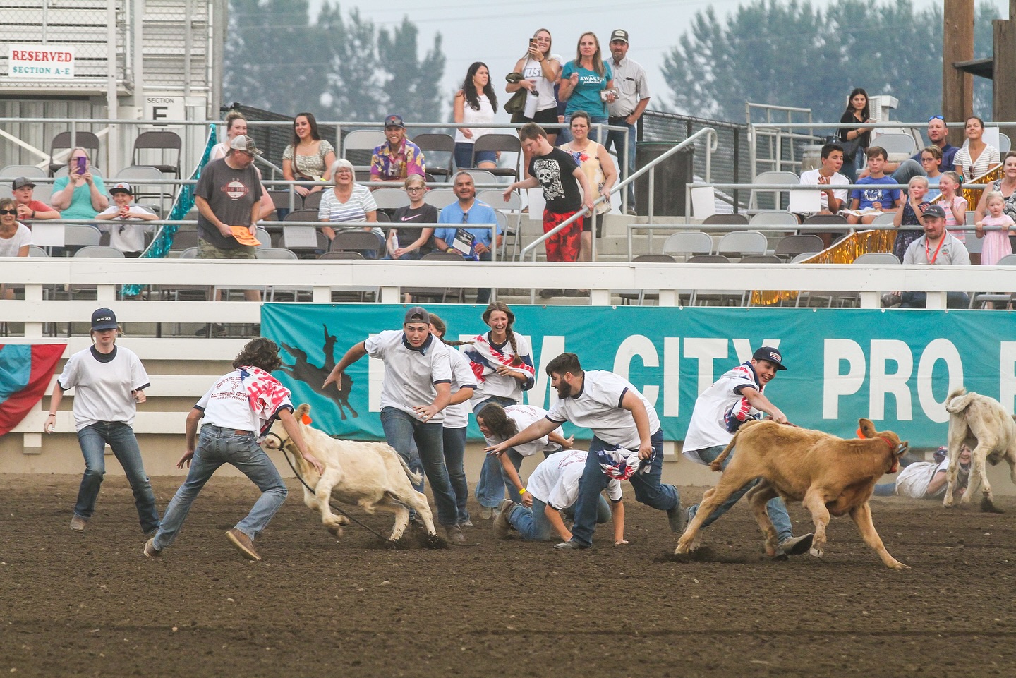 Thursday, August 7th will be “𝒀𝒐𝒖𝒕𝒉 𝒂𝒏𝒅 𝑨𝒈 𝑵𝒊𝒈𝒉𝒕” at the Farm-City Pro Rodeo! Join us in the event tent at 6PM for free activities for the kids sponsored by Bellinger Farms!
Don’t miss local FFA chapters compete in a calf dressing contest sponsored by Elmer’s Irrigation!
See you tonight rodeo fans!
Tickets @ farmcityprorodeo.com