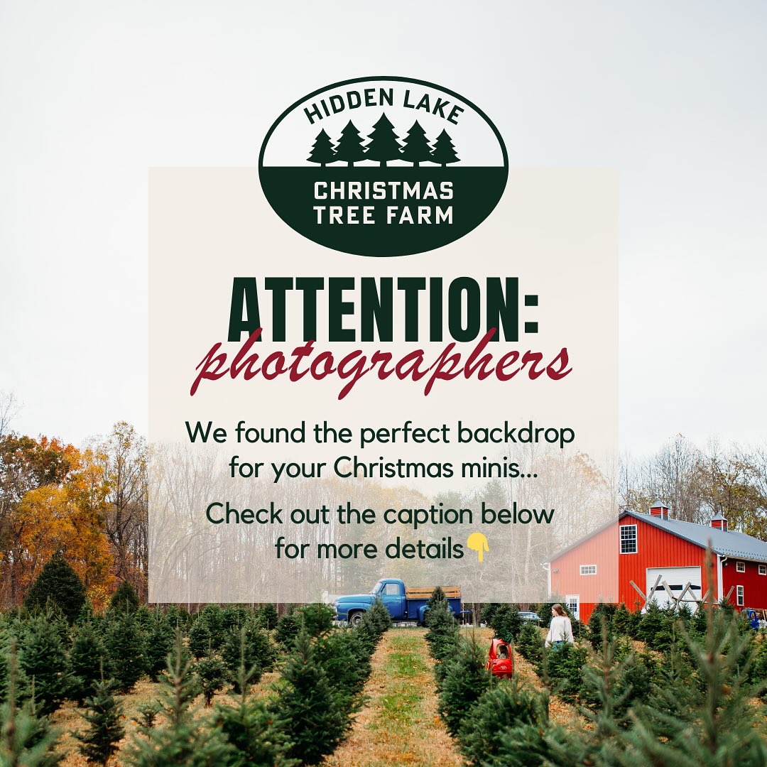 Hey photographers! 📸✨ We’re thrilled to announce that booking is officially OPEN for the 2025 photography season! Whether you’re a seasoned pro or just starting out, this is your chance to host stunning photo sessions at a REAL Christmas tree farm right here in Southern Maryland! 🎄
Here’s what you need to know:
📍 All sessions must be booked through Brady at (443) 624-6987
📄 Proof of insurance is required to ensure a safe and professional experience for everyone.
Have questions or need help with your booking? Text Brady for booking & payment info!
We can’t wait to welcome you to the farm and help you create unforgettable holiday magic ❤️