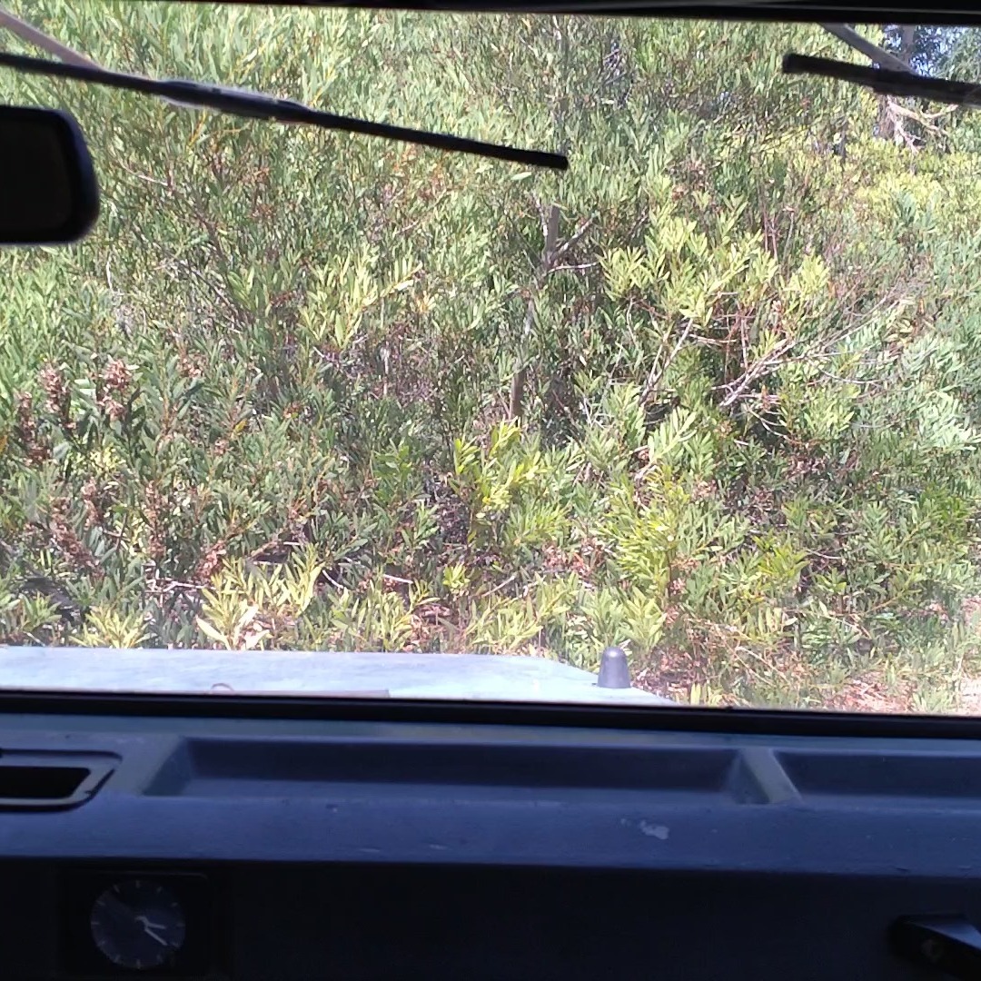 Secret Spot at Westernmost Route
#SecretSpot
#WesternmostRoute
#HiddenGemsPortugal
#SintraSecrets
#OffTheMap
#ExploreTheUnknown
#SecretSintra
#WildPortugal
#HiddenTrails
#NatureEscape
#OffRoadAdventure
#WesternEdge
#UnseenPortugal
#MysticSpots
#JeepToTheUnknown
#LostInSintra
#CoastalSecrets
#AdventureUncovered
#SecretViewpoint
#NotOnTheMap