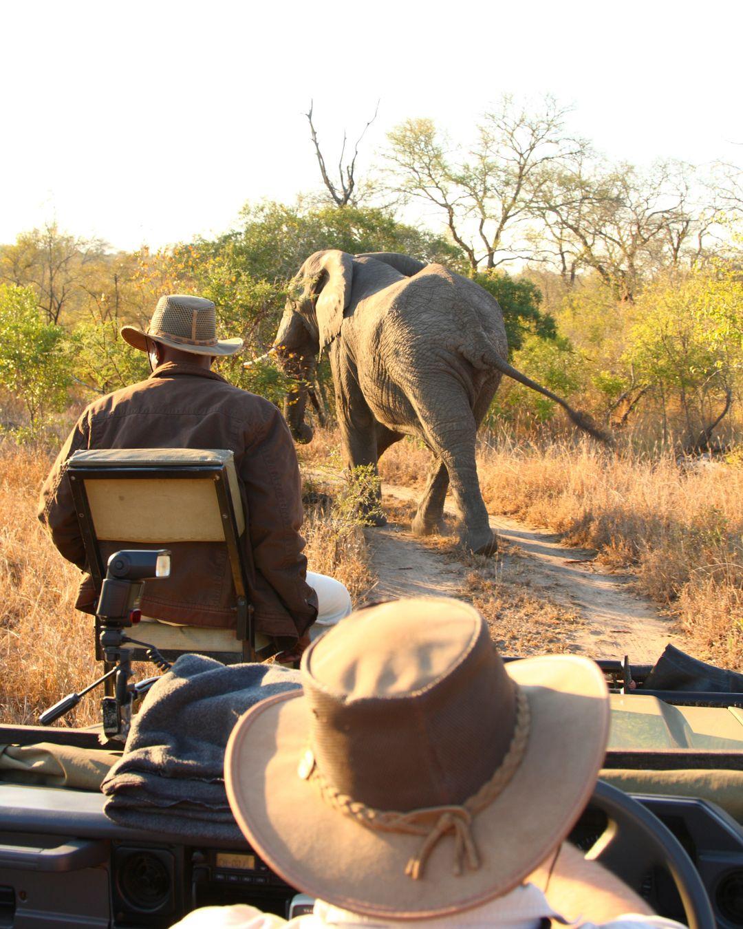 What are the biggest travel trends we're already seeing for 2026? Going big and going beyond Europe.
Private safaris in South Africa. Springtime strolls under Japan’s cherry blossoms. Zodiac cruises past Antarctica’s icebergs. And for the truly adventurous, sleeping under Outback stars in Australia.
We’ll help you design an experience worthy of your bucket list, with private guides, luxury accommodations, and insider perks.
Where to next? Let’s start planning!
.
.
.
.
#alpenglowtravel #BucketListTravel #LuxuryTravel #LuxuryTravelAdvisor #GlobalTravel #Safai #Antarctica #Australia #AdventureTravel