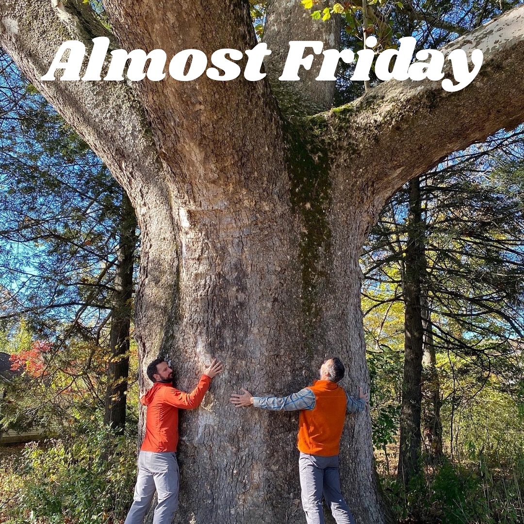 🌲 Almost Friday!!! 🌲