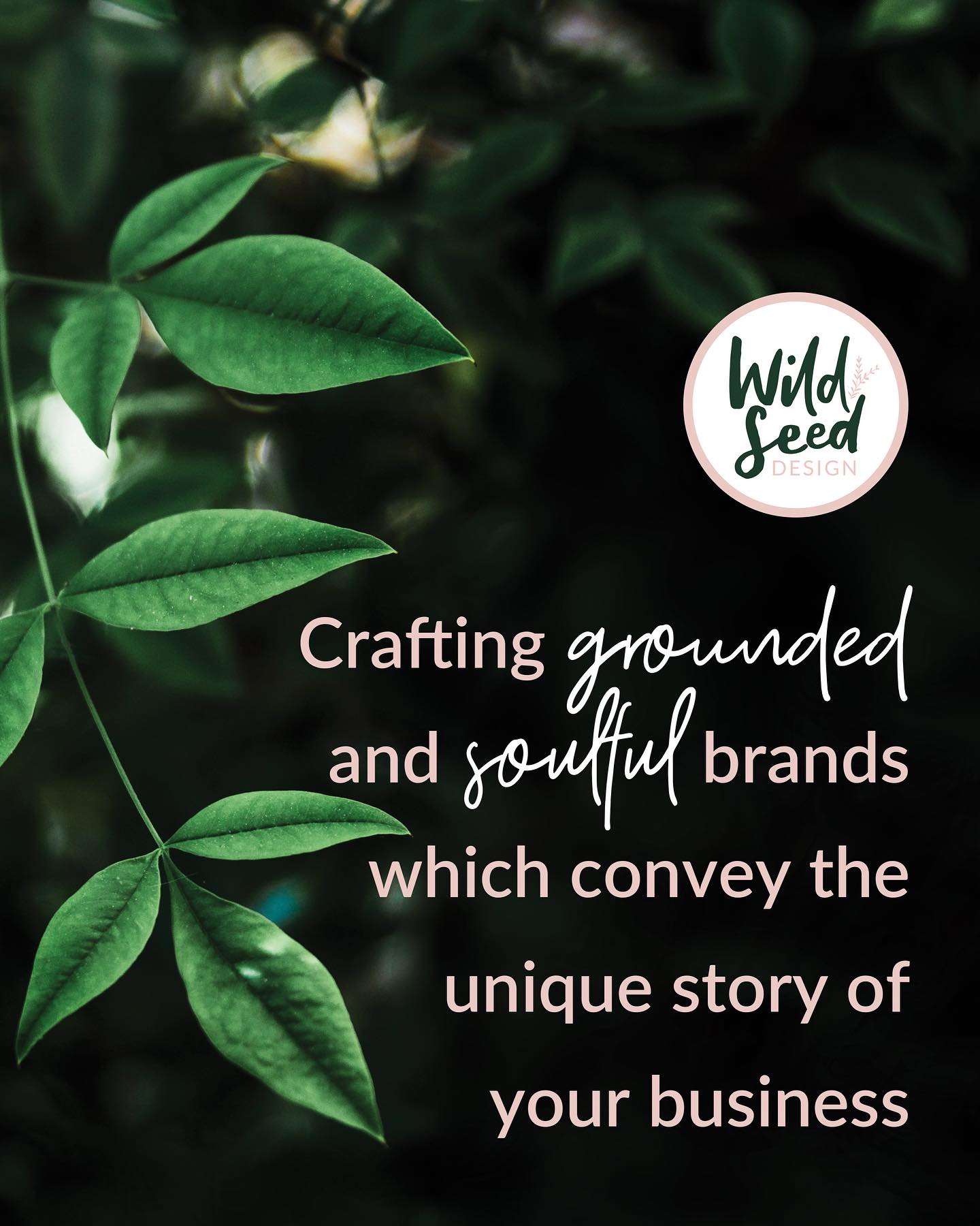 I love crafting grounded and soulful brands which convey the unique story of your business.
If you would love to chat, contact me today to discuss your business branding.
