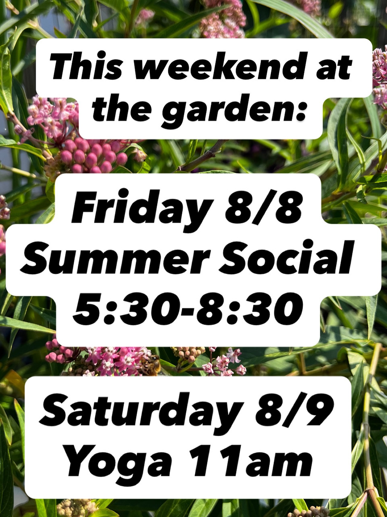 Friday Summer Social see you starting at 5:30! @sistamoms_global
Saturday yoga is back! 11am