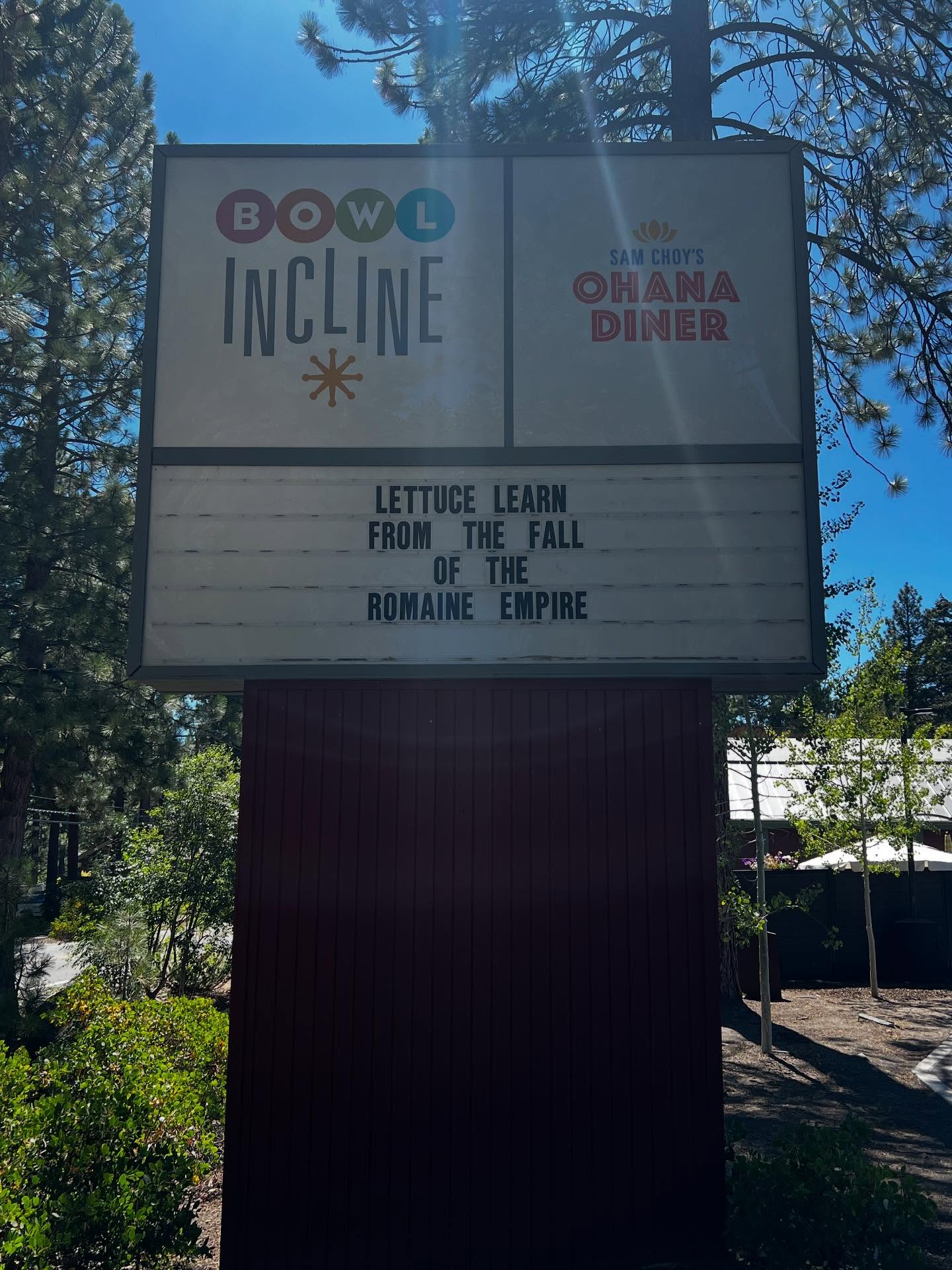 Lettuce be real… this might be the crouton to all your salad puns. 🥬👑 #RomaineEmpire #BowlIncline #CaesarTheMoment #bowlinclinehumor #dadjokes