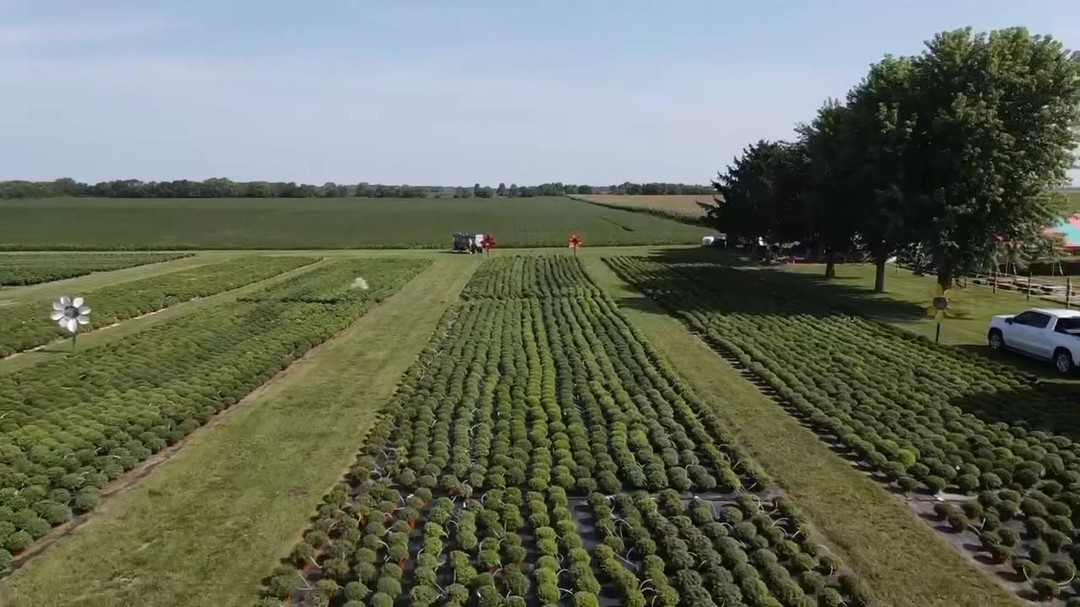 The wait is almost over! ๐ต๏ธ In just a few short weeks, these green rows will burst into a breathtaking rainbow ๐ of color. Whoโs ready for MUM season? ๐
#FallMums #FallColors #MumLove #AutumnBlooms #MumSeason #FreshFromTheFarm #FlowerFields #FarmLife #BloomWhereYouArePlanted
#HappinessInBloom
#LetItBloom