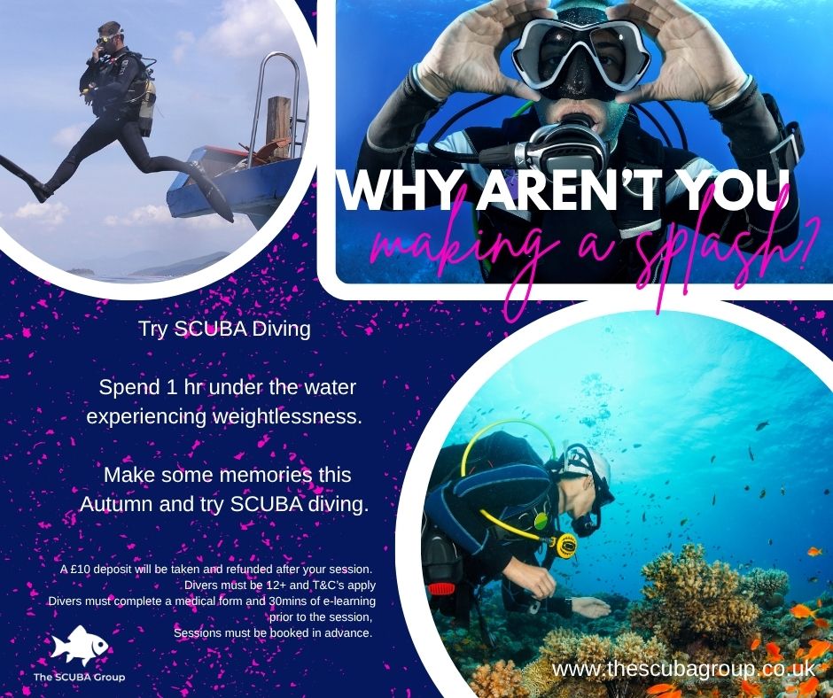 Ever wondered what it's like to be truly weightless and to see the world as a #Dolphin?
Now you can, experience a new world and make some memories this #Summer with #TheSCUBAGroup.
Our #FREE try dive programme is running again allowing you to experience #SCUBA in #Lancashrie for free throughout August and September so get in touch or visit the website to book in your next experience.