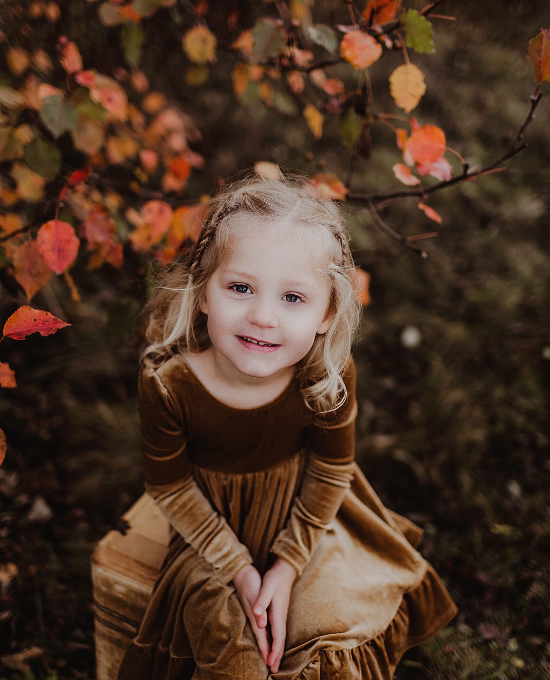 Fall family photo season
filling quickly! 🍁
Heritage Mini Sessions:
✨ 20 minutes
✨ 10 images
✨short & sweet updates
They may be mini, but
there is NOTHING mini
about ALL THAT GOODNES!!
Only a few spots remain—