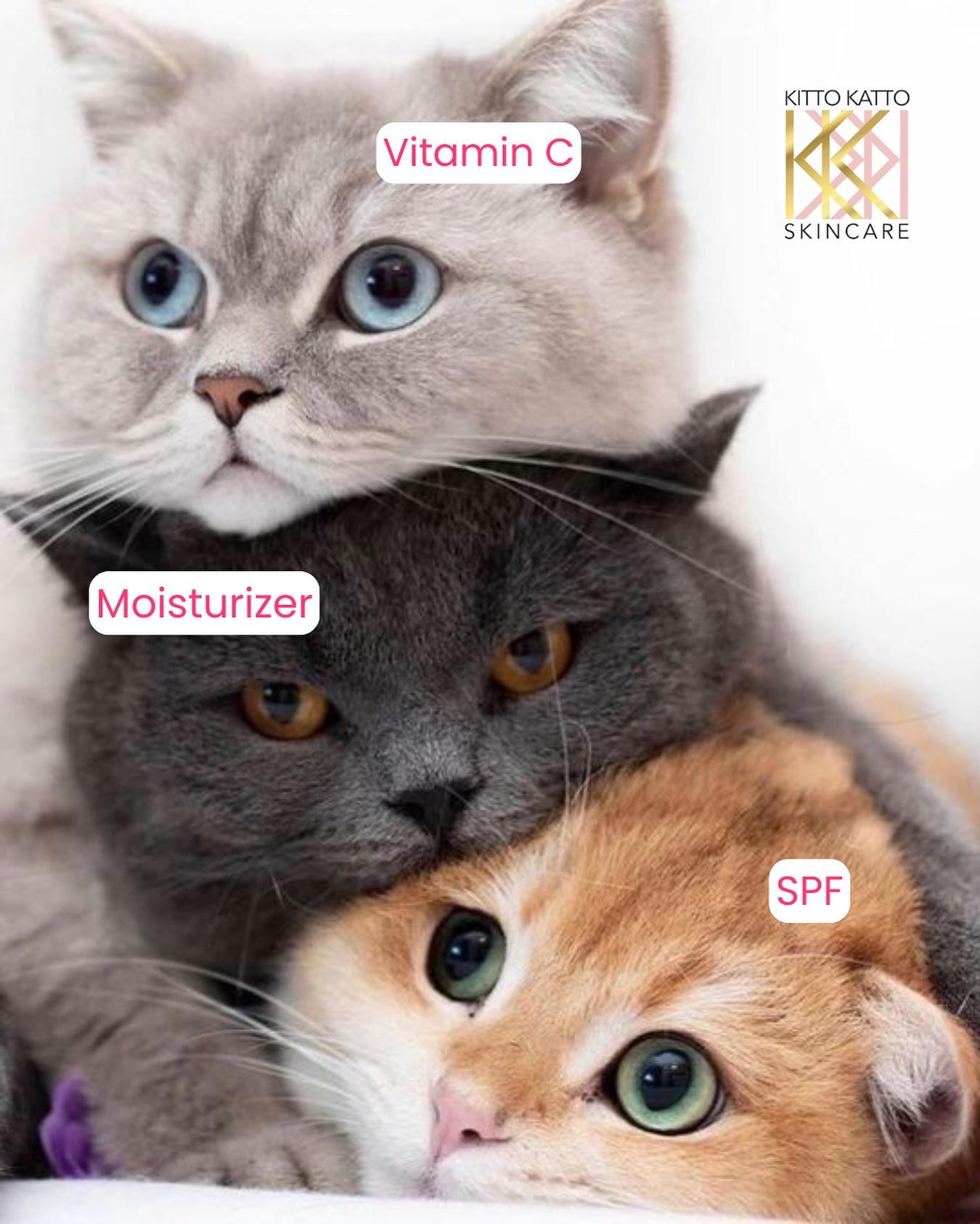 Our purrrfect skincare trio! 💗
What do you guys think of our meme? 😂🐈
#skincarememe #skincarememes #esthetician #skincare