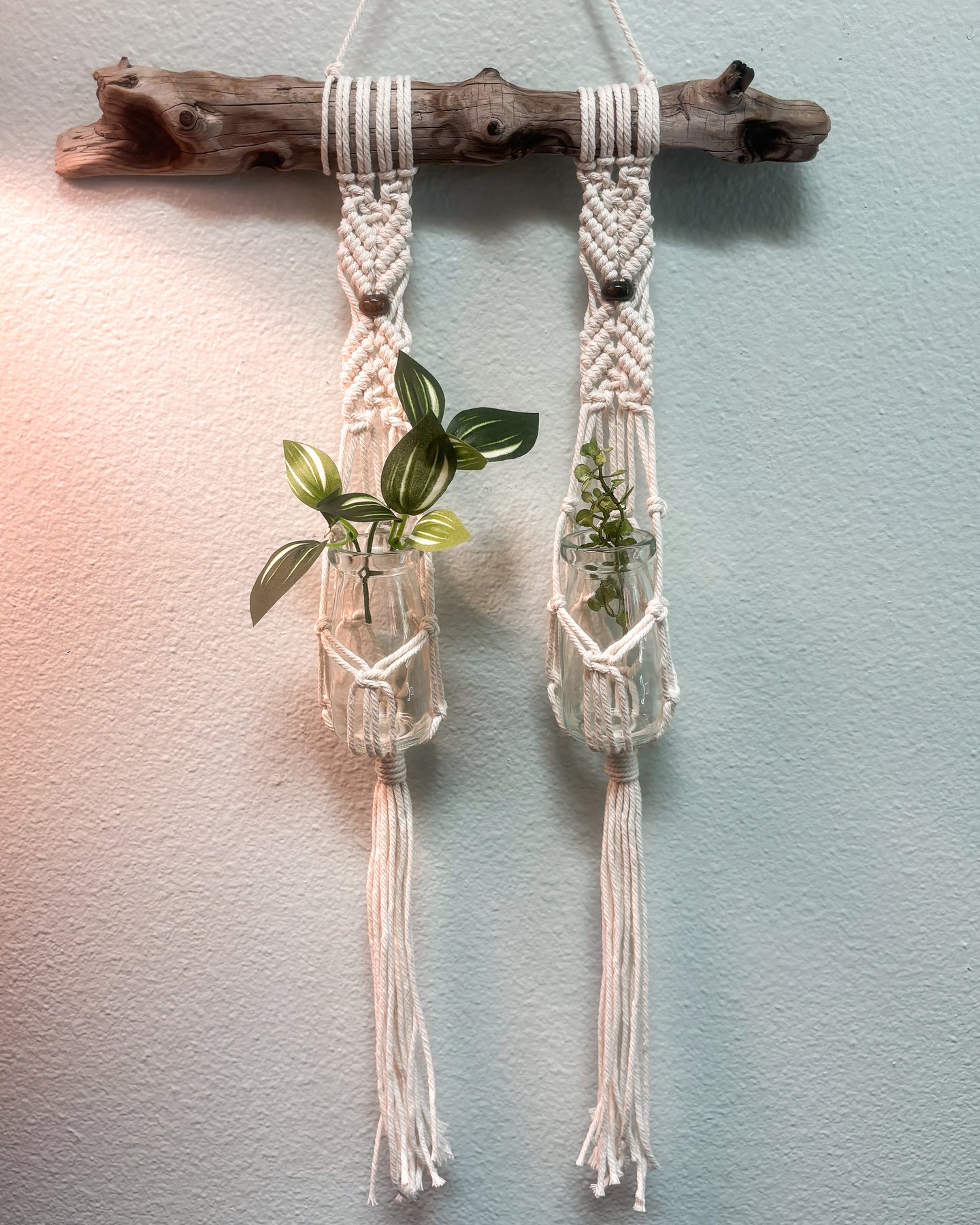 Create something rad for your windowsill, your wall, or your favorite plant-loving friend! No green thumb required, just good vibes and a little creativity. You’ll use natural driftwood, 3mm cotton cord, and glass jars to craft your own double plant propagation hanger, topped off with bold, one-of-a-kind agate stone beads.
For our 21+ attendees, a complimentary glass of rosé awaits.
Sunday, August 24th • 5 to 7 p.m
Visit warehouseboise.com for tickets or click the 🔗 in bio
Presented by Knotty Tawny