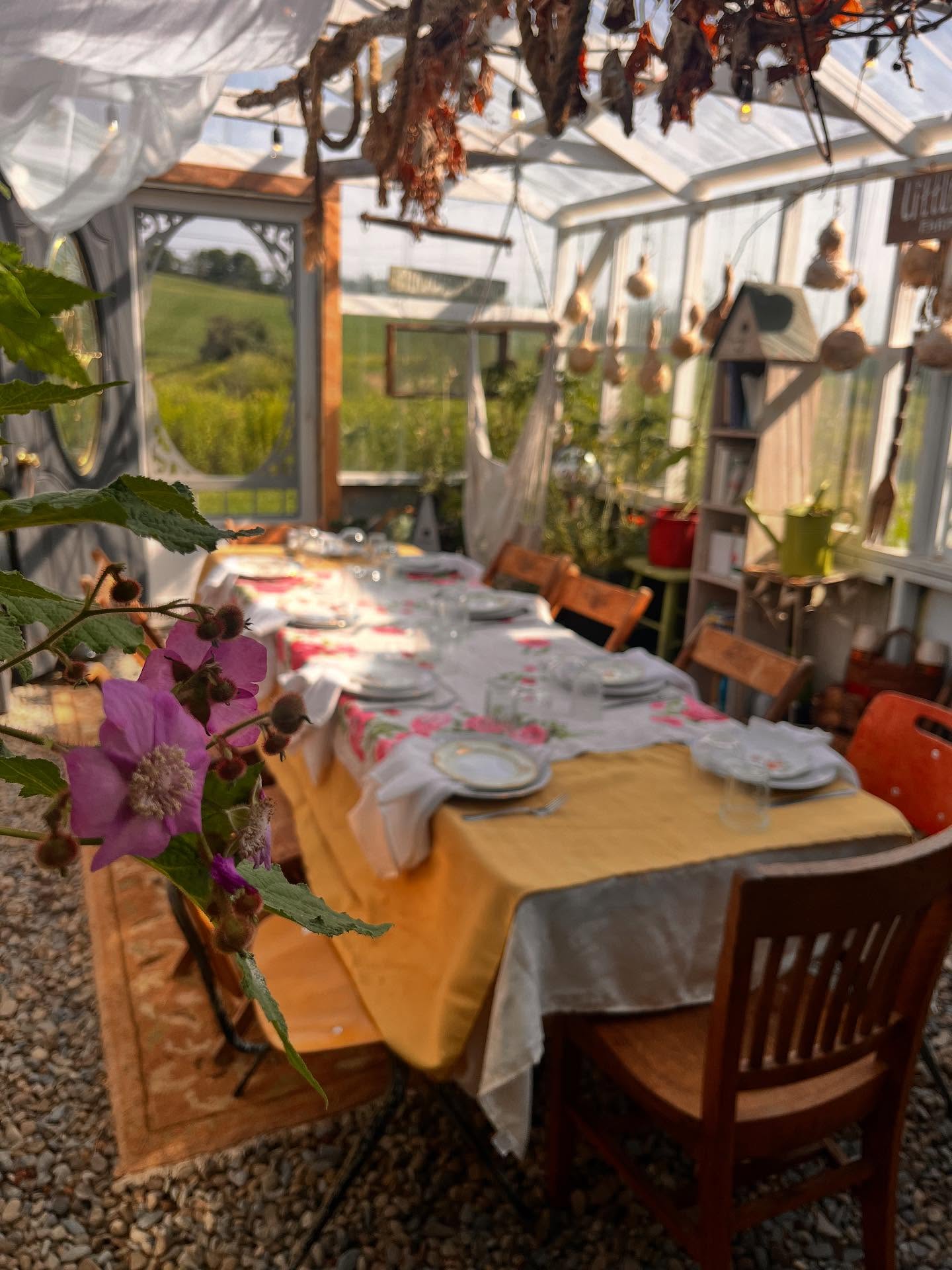 ✨ You’re Invited ✨
The return of Greenhouse Dinners is less than 2 weeks away! Please join me August 23 in my favorite space on our homestead in Sempronius, NY, to enjoy deep connections with the land and farmers that surround us, as well as the good company at the table.
We are happy to accommodate GF, vegetarian, and just about any other dietary concern.
Tag someone below who you want to share this magical agro-dining experience with. 👇
Get your tickets here: https://www.littleyardfarm.com/greenhouse-gatherings
