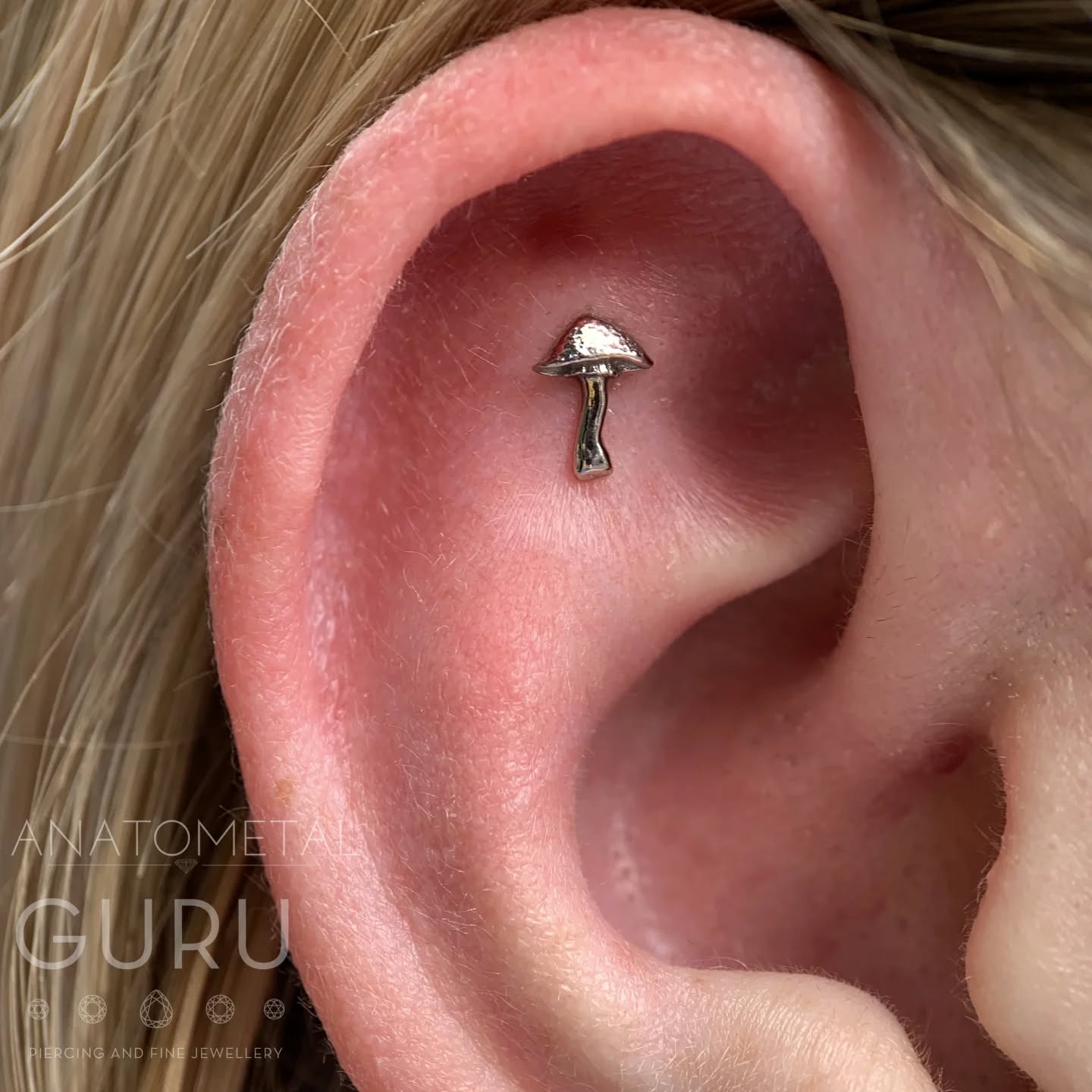 ✨ Fresh flat magic ✨
Here's a cute little flat piercing we did featuring an 18kt solid white gold mushroom from @anatometaluk /@anatometalinc
Because every ear deserves a little enchanted forest charm 🍄✨
Styled by Gem, pierced by Franki 💕
If you’d like to book in check out the link in our bio✨
•
•
•
•
•
•
•
•
•
•
•
•
•
•
#ukapp #safepiercinguk #newpiercing #earpiercing #piercing #bodypiercing #brighton #brightonpiercer #beautiful #piercingjewelry #earcuration #curatedear #highquality #shopsmall #shopindependent #shoplocal #northlaine #thelanes #helix #cartilage #goldpiercing #whitegold #anatometal #ukappmember #mushrooms