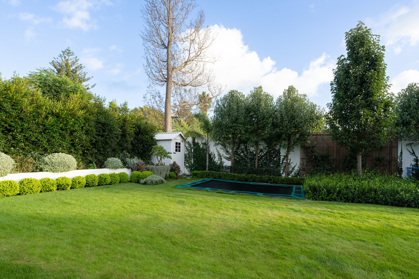 POV: When you wake up to find the sunlight in the garden so serene that you have to run and grab the camera to capture it.
