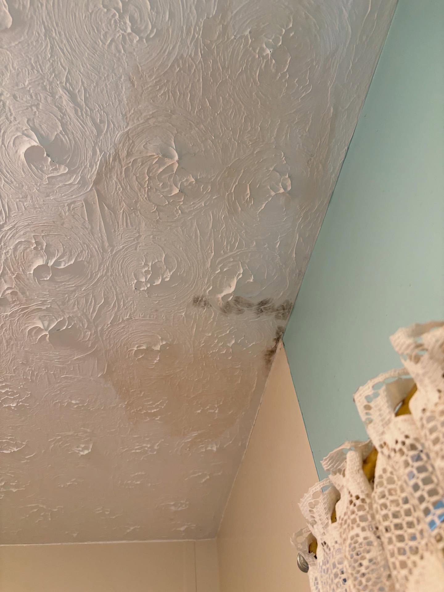 We encountered an unique texture while repairing drywall in this bathroom. Swipe to see the finished product 👌
📍Lagrange, KY
TO SCHEDULE A FREE ESTIMATE
☎️ Call our office 502-647–7709
💻 Submit request online at:
www.alvaradosdrywallfinishing.com
(Scroll down to bottom of page)
#louisvilledrywall #lagrangeky #louisvilleky #alvaradosdrywall #shelbyvilleky #louisvilledrywallfinishing #simpsonvilleky #nortoncommonsky #jeffersoncountybuilders #louisvillecontractors #jeffersonvillein #metalframingdrywall #metalframinglouisville #kentuckydrywall #westpointky #prospectkyrealestate #louisvillerealtors #louisvillerealestate #newconstructionlouisville #jeffersontownky #basementdrywall #basementrenovation #basementrenolouisville #louisvilleremodel #louisvilleremodeling #plasterremodel #plasterdrywall #louisvilleplasterrepair#shelbycountyky #henrycountyky