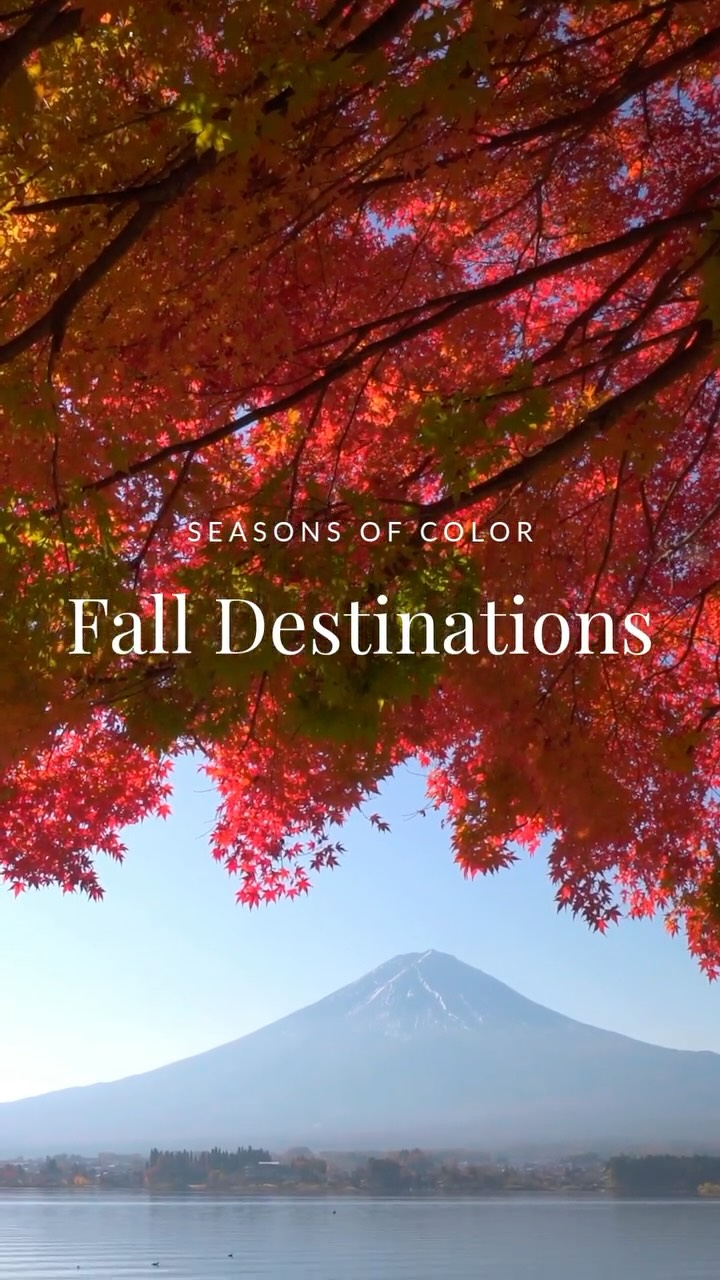 Changing leaves and changing scenes: fall is calling. Explore Japan’s golden temples, hike alpine trails through the Dolomites, sip wine in sun-drenched South African valleys, and revel in New England's charm.
It's not too late to start planning a perfect autumn getaway and we're here to help!
Reach out: info@alpenglowtravel.com
.
.
.
.
#AlpenglowTravel #FallTravel #AutumnEscape #Japan #Dolomites #SouthAfrica #NewEngland #LuxuryTravelAdvisor