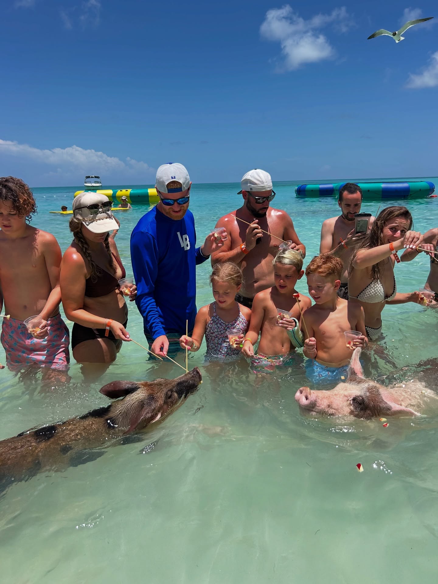 Happy Thursday! 😎❤️ #007beachclub #pigbeach #swimmingpigs #roseisland #bahamas #booknow #Summer2025
