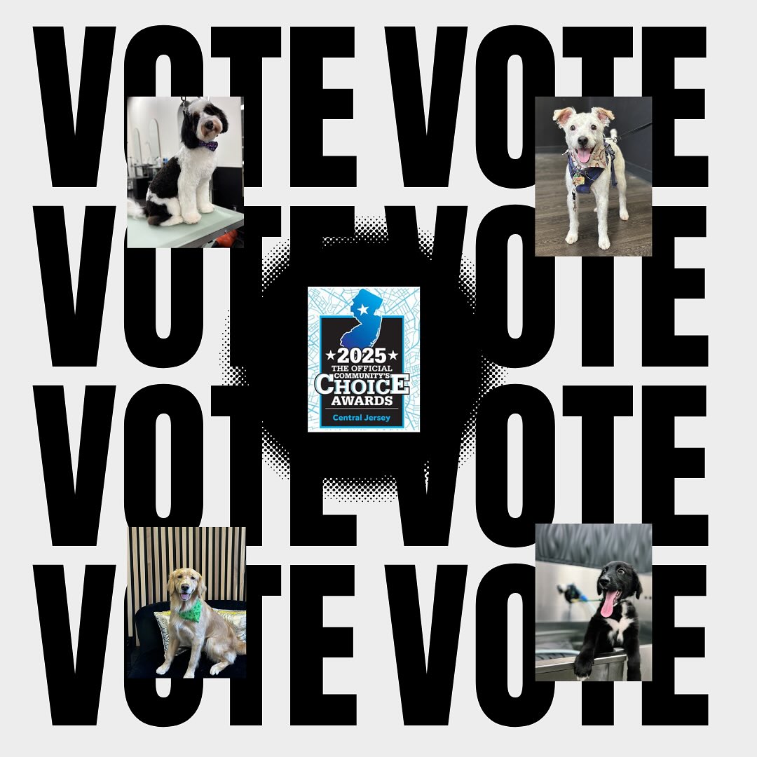 It’s that time of year again! We have been nominated for Best Grooming for 2025 Choice Awards Of Central Jersey! It’s because of you all that we got here. Let’s Get Pawsitively Styled as Best Grooming for the second year in a row! Every vote counts and thank you for your support! 🐕✂️🛁 Link is in our bio to vote!