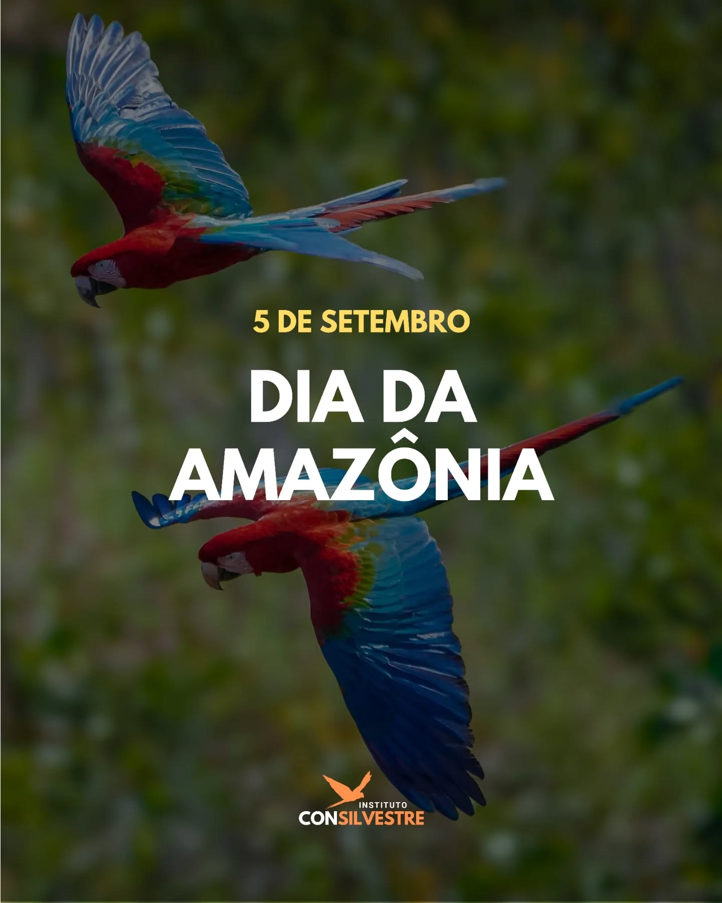 🌳 Maior floresta tropical do planeta, a Amazônia abriga a maior diversidade de espécies conhecidas e desempenha um papel crucial no equilíbrio climático global.
🏞 Seus rios, florestas e comunidades tradicionais são essenciais para a vida e a cultura brasileiras.
💚 Preservar a Amazônia é preservar nosso futuro!
#DiaDaAmazônia #FlorestaEmPé #conservação #meioambiente #biodiversidade #natureza #animaissilvestres #faunasilvestre #organizaçãonãogovernamental #ong #camposdosgoytacazes #riodejaneiro #rj #pesquisa #educação #pesquisacientifica #educaçãoambiental #mataatlantica #consilvestre #institutoconsilvestre