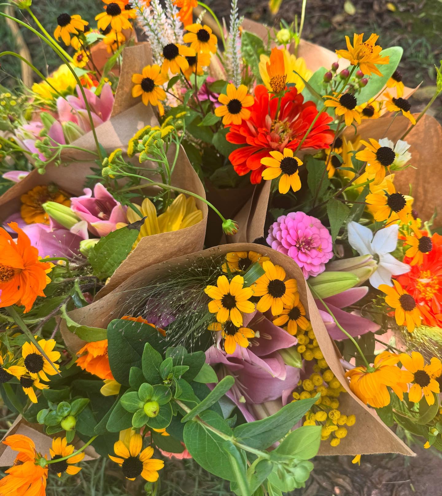 Happy Friday!
Dropping these cuties to @themercva and @lovettsvillemarket this afternoon and then SURPRISE! We’ll be making an improptu appearance at @wheatlandspring tonight from 5pm- 7pm for their August #epicureevenings series!
Eat, drink and be merry on this beautiful summer day- and come show is some love and grab yourself a 🔥summer bundle of flowers!
@farm_belly_va
@tarverking
@pizzeria.loco
@mapleandryebakery
@_richsullivan
@waverly__springs
@dapple.farm
@cannabreezehemp
Roberts Roost Farm and Sweet Harmony Farm too!
