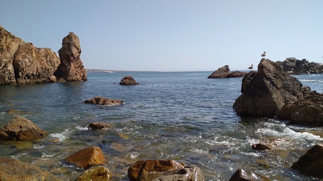Still paradises to discover 🌿✨
Even with crowded beaches, some corners let time stand still. Pure nature sounds. 🍃🌊
#WesternmostRoute #NatureInItsRawState #DiscoverSintra #JeepTours #HiddenGems #AdventureAndPeace #ExploreNature #SintraCascais #NatureEscape #ScenicRoutes #OffTheBeatenPath #EcoTourism #TravelPortugal #PeacefulPlaces #CoastalViews #OutdoorAdventure #NatureLovers #WesternmostRouteExperience #SeaAndPines #PortugueseNature