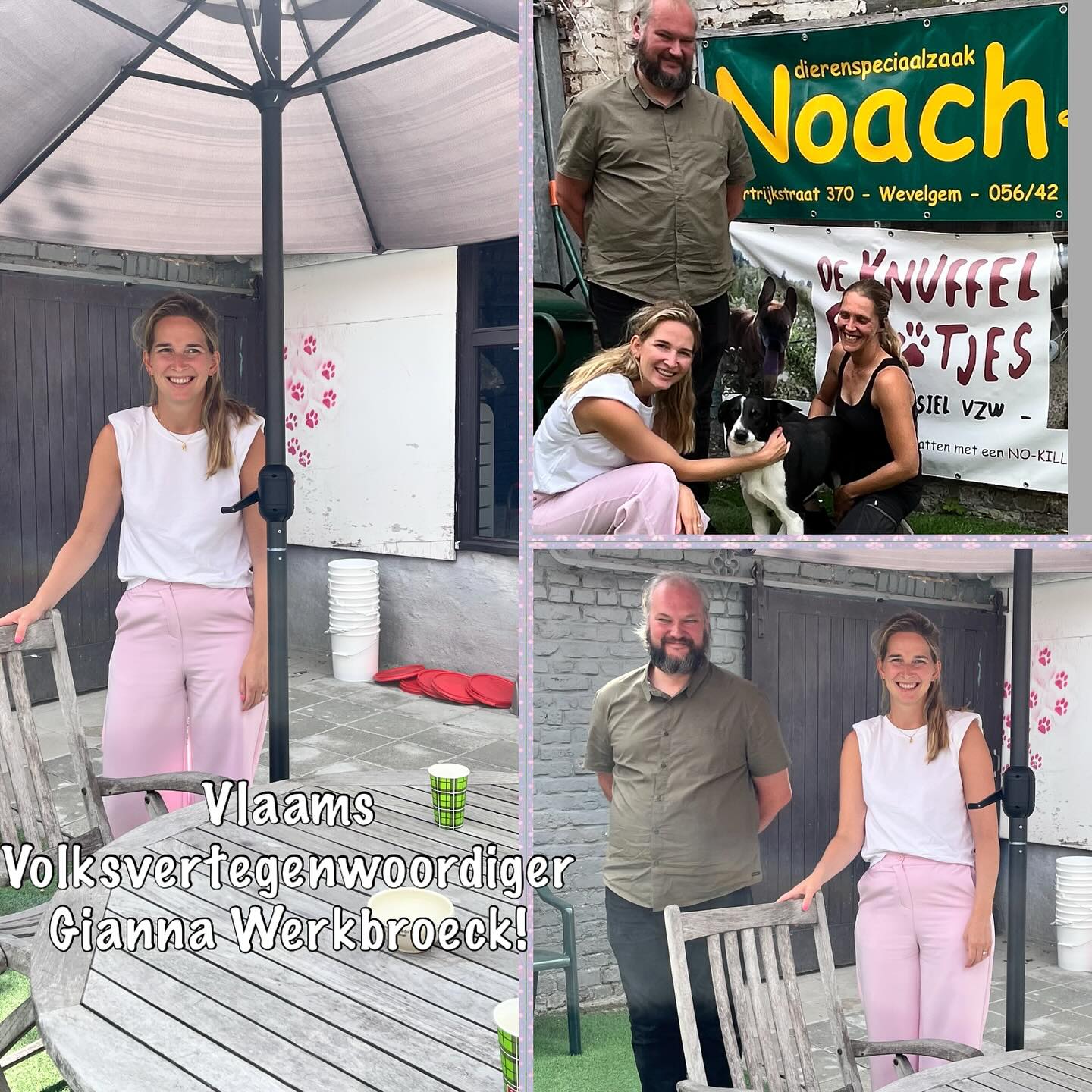Vandaag hadden we een waardevol overleg met Vlaams Volksvertegenwoordiger Gianna Werkbroeck en Angelino Demeester. Het is geweldig om te zien dat het Vlaamse Parlement zo geïnteresseerd is in dierenwelzijn en begeleiding. We bespraken belangrijke onderwerpen zoals toekomstig beleid, wetgeving, de problemen van Quick-fix lesgevers, de werking van dierenasiels en problemen bij fokkers. Het overleg was zeer constructief en we zijn van plan om in contact te blijven, want er ligt nog veel werk voor ons. Samenwerking is cruciaal om onze doelstellingen te bereiken! We doen ons best en werken verder! 🐾💪
Bedankt #giannawerkbroeck #angelinodemeester #shelterdogsofinstagram #hondengedragstherapeut #hondengedragsdeskundige #hondengedragstherapie #hondentraining #hondenvaninstagram