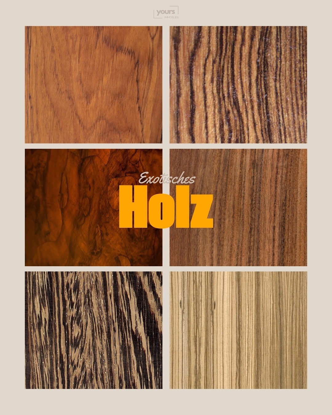 We 🪵 exotic Wood. Wenn du nach natürlichen Materialien suchst, um dein Zuhause zu etwas besonderem zu machen, haben wir hier ein paar besondere Materialien f