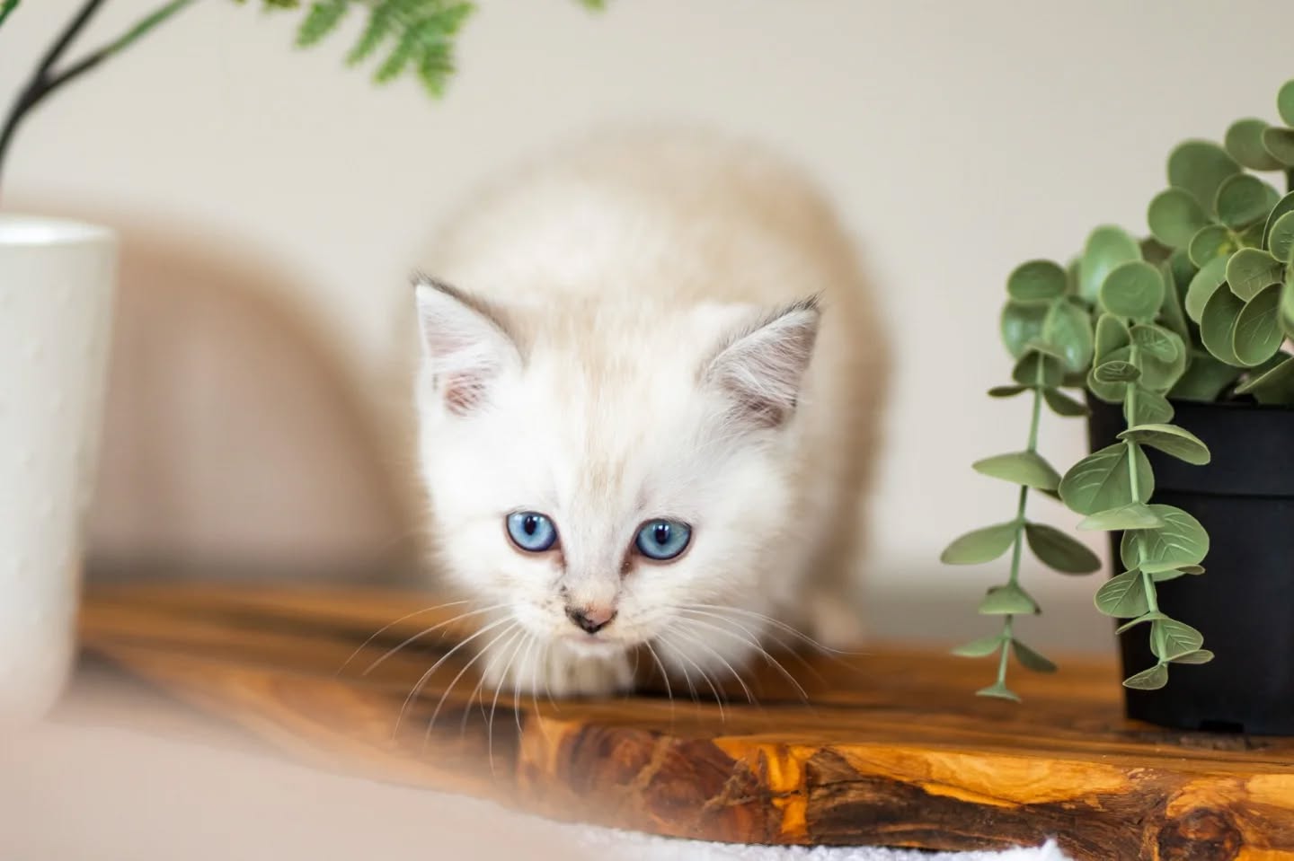 Those blue eyes. 😍
