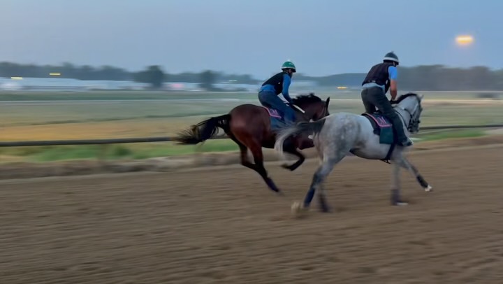 Music Theory ("Doug") on the inside and Can't You See on the outside doing a bit of work this past weekend. #brownsteadbred #racehorse #thoroughbred #thepinkm #horsesofinstagram
