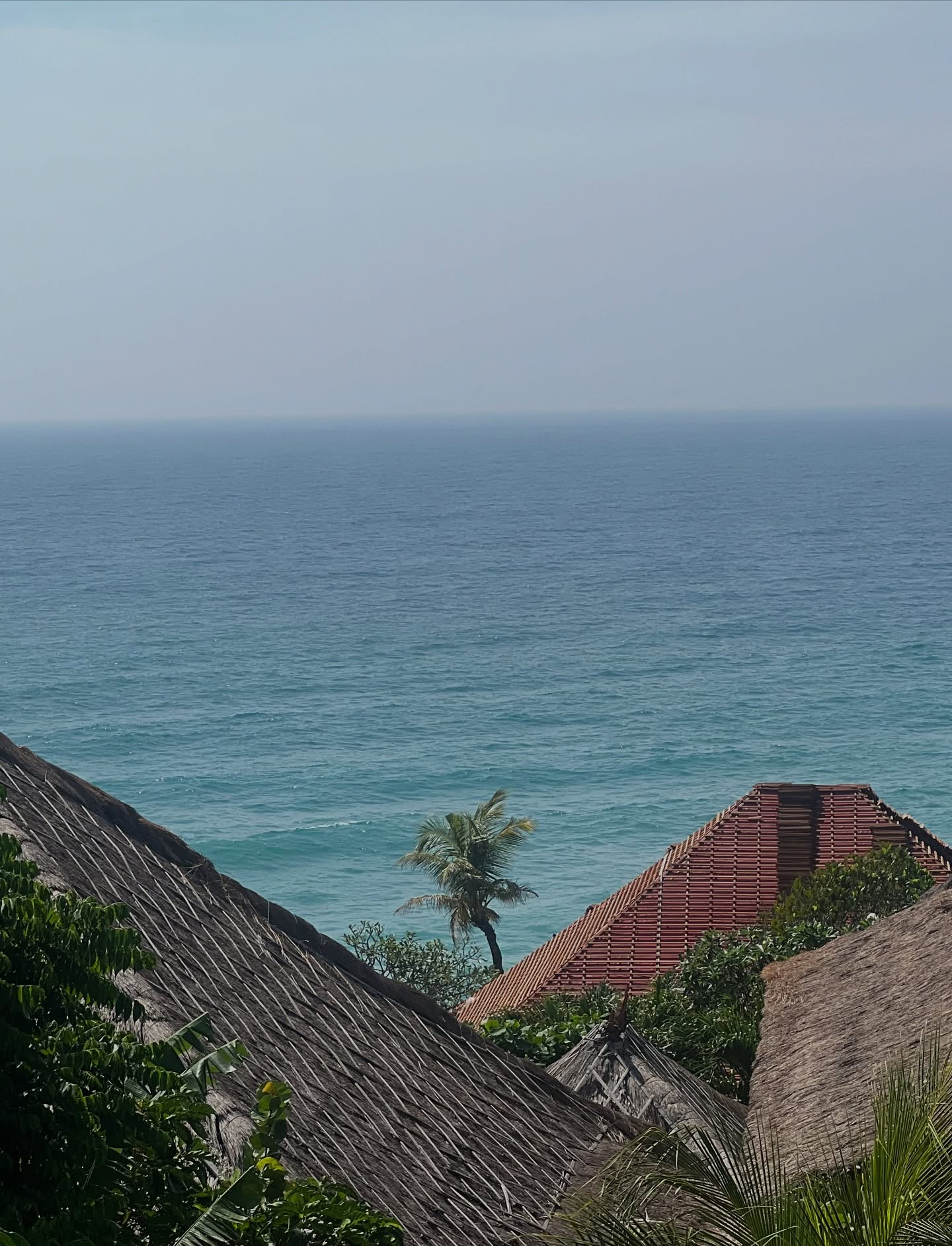 🌿 “You must plan to let life unfold.”
Even in yoga, we set intentions and create space, so the unexpected can flow freely. ✨
#mindfulliving #innerwild #yoga #yogi #Flow #spontaneity #WellnessVibes #plantyourseed #livefreely #retreats #bali #indonesia #meditation
