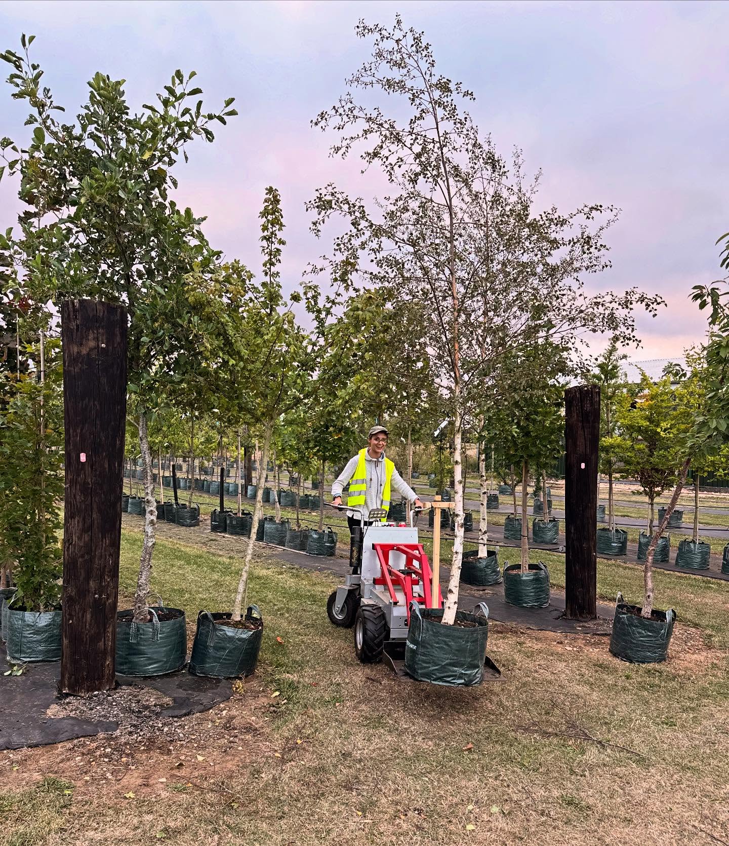 Big day of tree deliveries today to a local housing development 🌳 🏡 🌳 🏡
#screeningtrees #lincolnshiretrees #treenursery