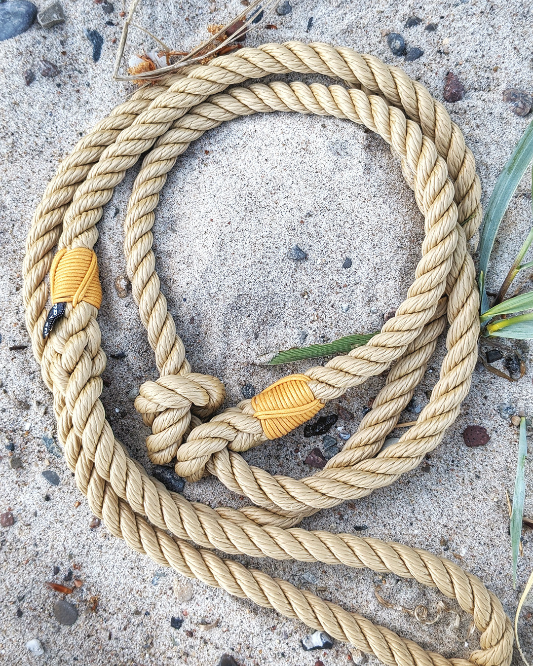 🏖️ 𝗗𝗲𝗶𝗻 𝗛𝘂𝗻𝗱 𝗹𝗶𝗲𝗯𝘁 𝗱𝗲𝗻 𝗦𝘁𝗿𝗮𝗻𝗱 – 𝗱𝘂 𝗮𝘂𝗰𝗵?
Nichts ist nerviger als ein verklemmter Karabiner vom feinen Strandsand. Unsere Retrieverleine macht Schluss damit – einfach über den Kopf ziehen, fertig!
👌 kein Karabiner - kein Drama
🪶 superleicht
🌊 UV- & salzwasserresistent
😎 perfekt für heiße Sommertage am Meer
Hol dir jetzt deine Sommerleine – in frischen Farben, handgefertigt in Hamburg!
#mithundammeer #strandhund #urlaubmithund #nordseehund #ostseehund #unterwegsmithund #labbilove #tauleine #hundeleine #retrieverleine #moxonleine #segeltauleine #tauliebe #tauleinedesign #tauleinenmanufaktur #allesaustau