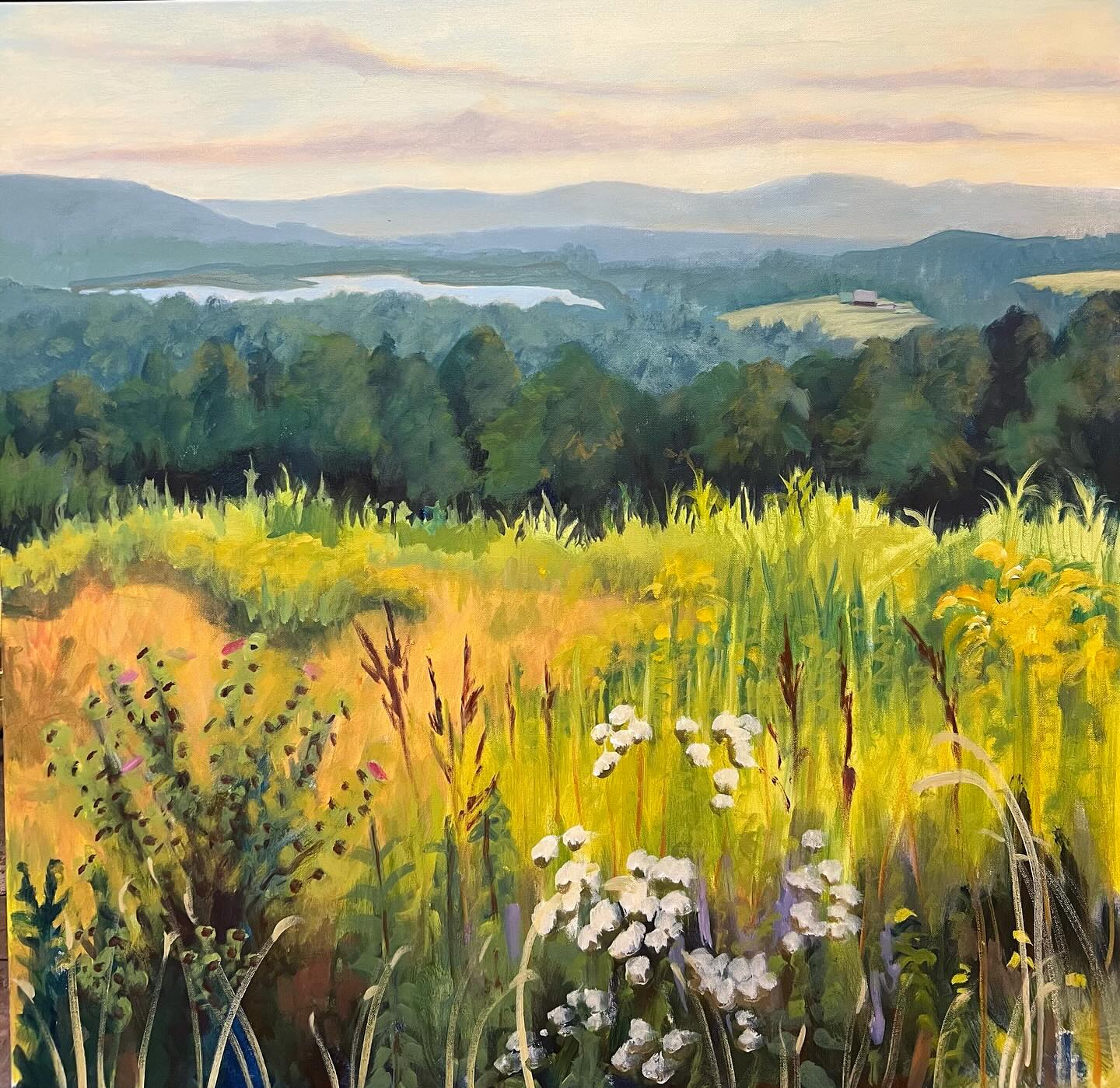 Finally mental and physical space for a big canvas…A favorite overlook with a wild native garden.  Ahhhhh