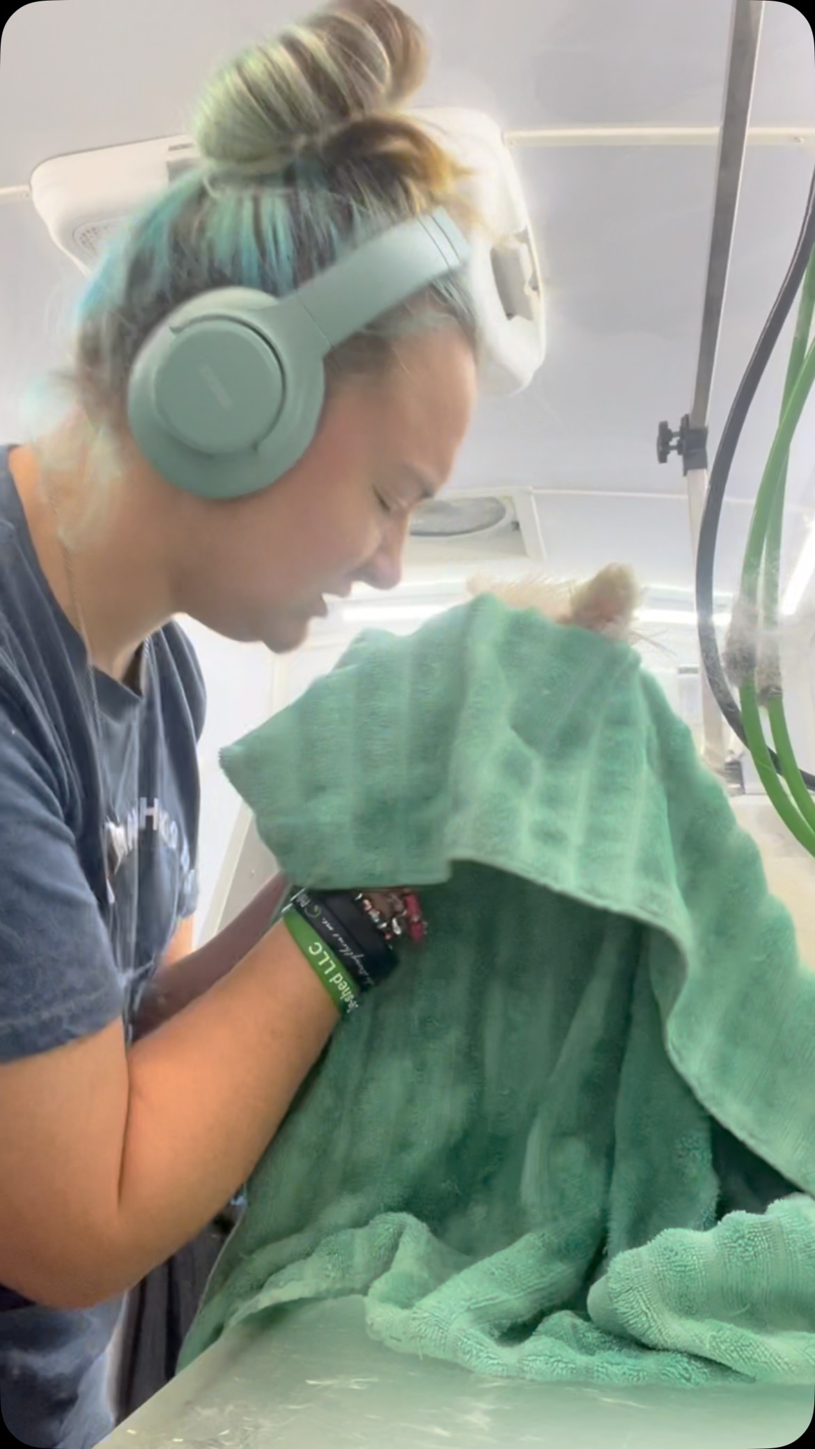 Love meeting new puppies especially when they’re this cute!! 🥰 #dawnofdeshed #mobilegrooming #handleitcompany #clipit #grooming #allforgroomers #handsaver #trachsaver #handlehugger #groomerswall #samoyed #puppy