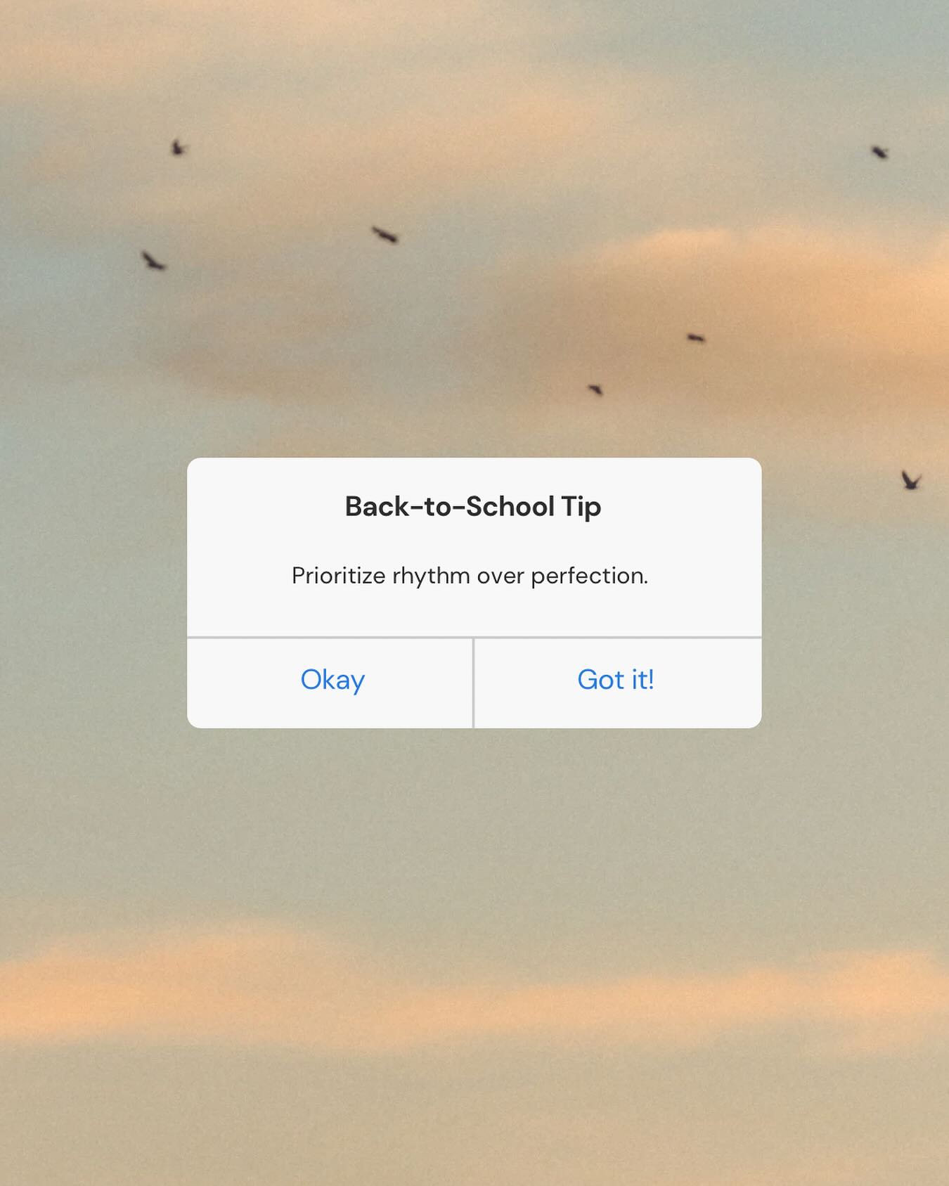 Whether your kids are back to school or you’re gearing up to head back soon, the first few weeks of school can feel like a total mess! New teachers, new routines, new moods. This is a reminder to aim for rhythm, not perfection.
Top tips I give my clients to get in their rhythm:
Prep at night. Have your child pick out clothes, pack their backpacks, make lunches… future-you will exhale and thank you! Not to mention, this gives your child the opportunity to practice very important life skills. This helps keep mornings simple for you and your child. Less battles, more peace!
Expect after-school spillover. Remind yourself that you are there to help give space and hold your child’s feelings. Remember that big feelings are a form of decompression, not defiance. Meet it with calm, not correction.
Protect your energy. Stop trying to control what isn’t meant to be controlled. Trying to control your child’s life (i.e.: their schedule, classes or who they sit with at lunch) is a losing battle. Focus on guiding your child to build their own internal compass instead of being focused on catering to yours. You’ll be amazed at how much more time you have. Coach, don’t carry!!!
Make space for tiny connections. Even a 30 second check-in. You don’t need perfect systems to have a grounded home… you need sustainable ones. Start small, repeat often, adjust as you go.