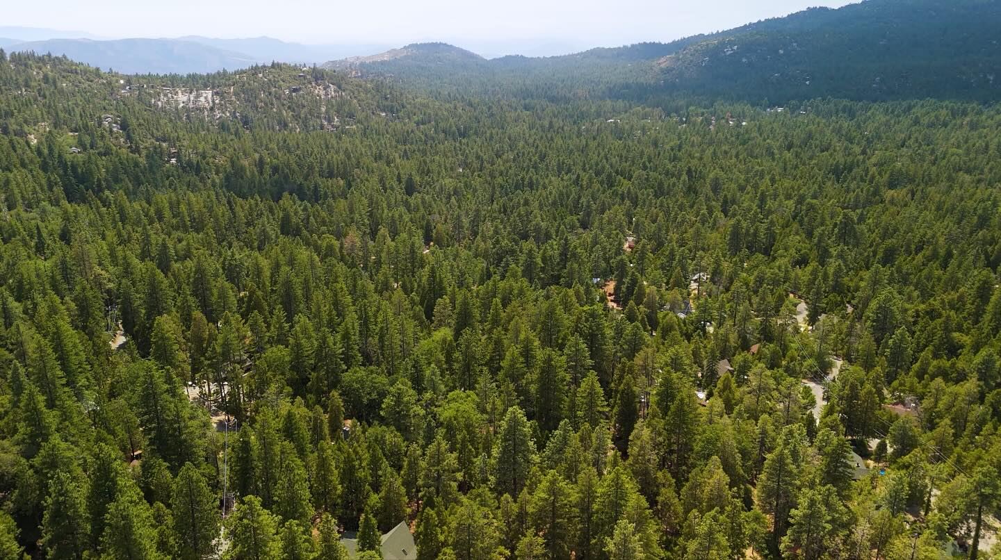 Love a large forested area! 😄 my review of the Ernie Maxwell Scenic Trail in Idyllwild, CA is up on the blog now! Link in bio!
#hiking #hikingtrail #hikingtrails #blog #blogpost #getoutside #california #idyllwild #forest