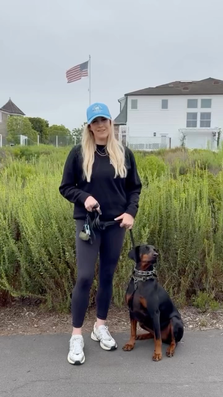 Most dogs don’t just need a walk, they need a job on the walk. 🐾
When we ask for check-ins, pace changes, heeling, and sits when we stop, we’re giving them purpose and structure. That mental work keeps them engaged, connected, and calm instead of overstimulated and reactive.
Because the walk isn’t just about burning energy… it’s about building the relationship.
#BarkCollective #StructuredWalks #DogTrainingTips #CostaMesaDogs #BalancedTraining #PackWalks #HappyDogsHappyLife