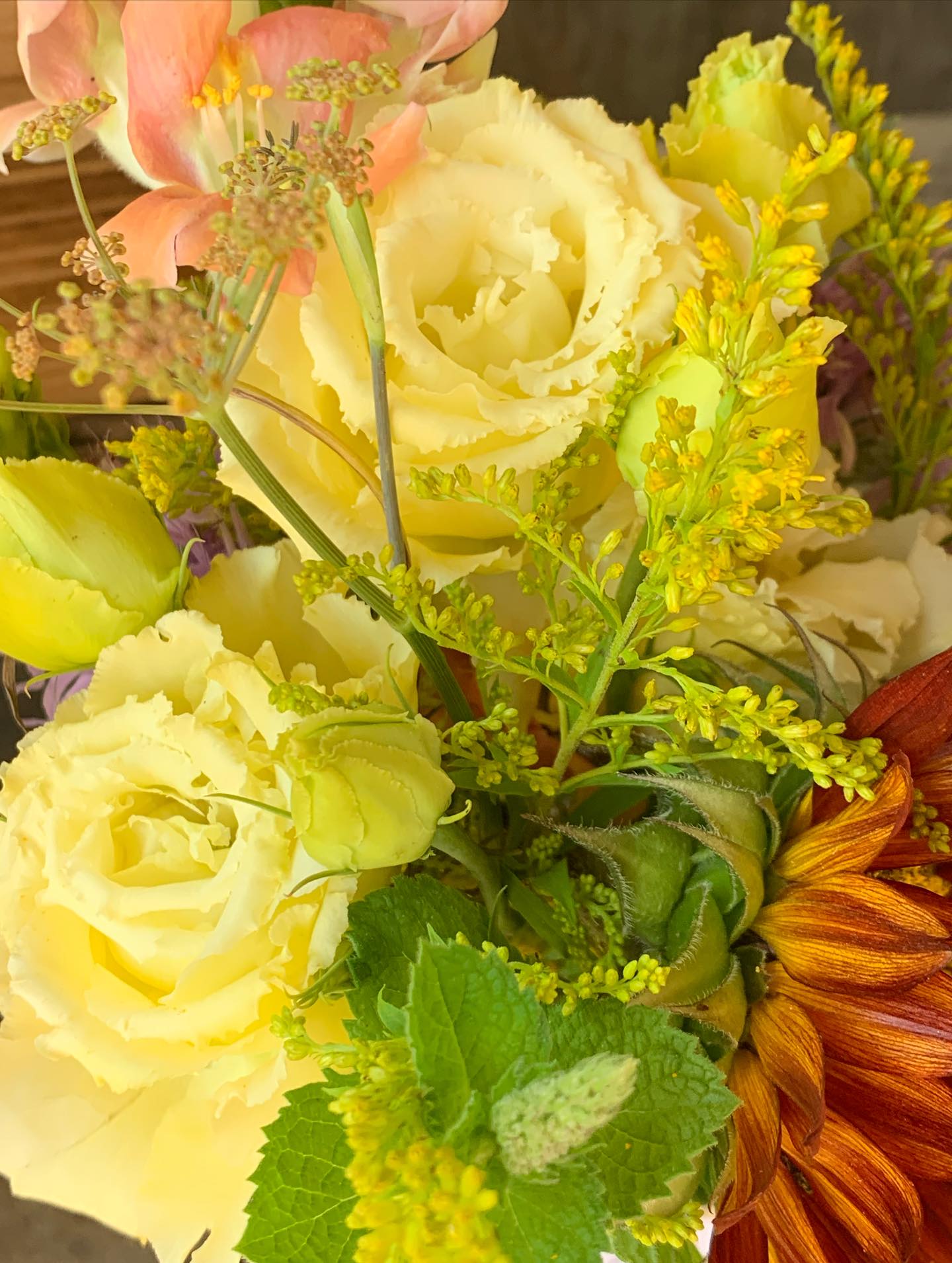 It is Canadian Flowers Week and we are almost ready to celebrate! We have our flowers harvested and we are heading into @theflowershopandmore, St.Marys for a fun flower installation.
We’ll keep you posted and show you All the photos as we build the installation and enter into the Canadian Flowers Week Contest! We hope you will follow along with us on this journey and even vote on our submission once it gets entered.
If you will remember, last year we finished in the top 4 Canada wide. This year, we have bigger plans and are doing a much bigger installation. We hope you will come check it out for yourself in person or follow along with our journey to celebrate Canadian Flowers on social media!
We start installing on site in St. Marys THIS Wednesday!
#Thegardeninharrington #harringtonontario #tavistockontario #tavistockontarioflowers #harringtonontarioflowers #embroontario #embroontarioflowers #embroontarioflowerdelivery #tavistockontarioflowerdelivery #thamesfordontario #lakesideontario #stmarysontario #stmarysontarioflowers #stmarysontarioflowerdelivery #woodstockontario #woodstockontarioflowers #woodstockontarioflowerdelivery #hicksonontario #flowerfarm #canadianflowerfarmer #ontarioflowerfarm #ontarioflowerfarmer #oxfordcounty #perthcounty #stratfordontario #stratfordontarioflowers #stratfordontarioflowerdelivery #freshflowers #haveyouseenaflowerfarmyet #canadianflowersweek