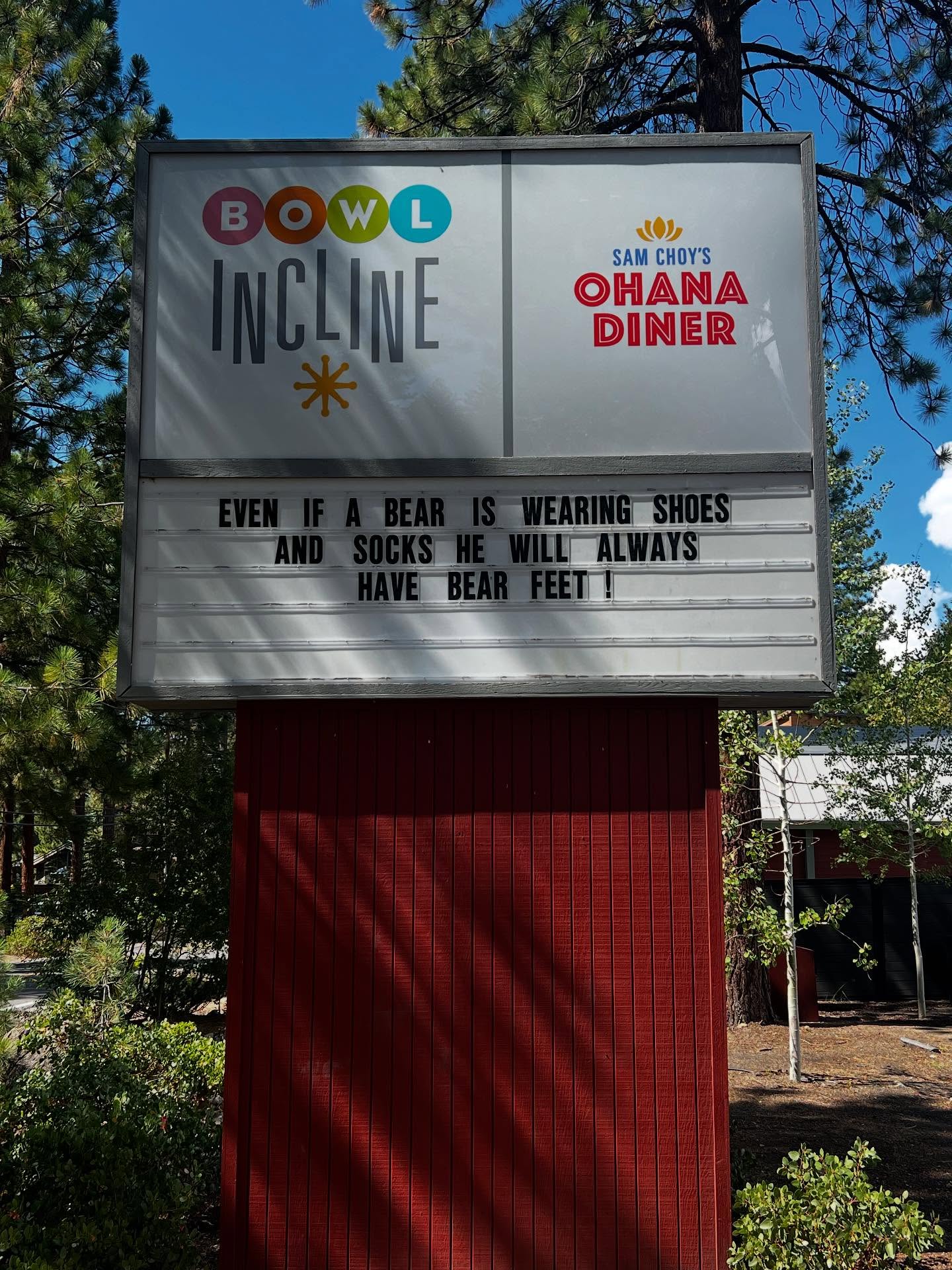 🐻👣 “Even the bearest essentials can’t hide the truth — some things never change.”
#BearFeet #InclinedToBowl #PunIntended #bowlinclinehumor