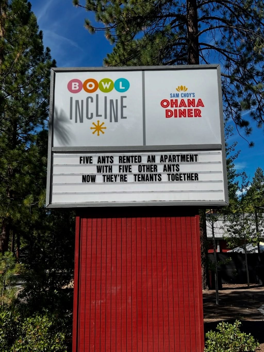 Meet the ultimate roommates: 🐜🐜🐜🐜🐜 + 🐜🐜🐜🐜🐜 = TEN-ants! 🏠✨
Stop by Bowl Incline for strikes, spares, and some ant-ertainment on the lanes. 🎳😉
#BowlIncline #DadJokesDoneRight #StrikeUpSomeFun #OhanaDiner #bowlinclinehumor