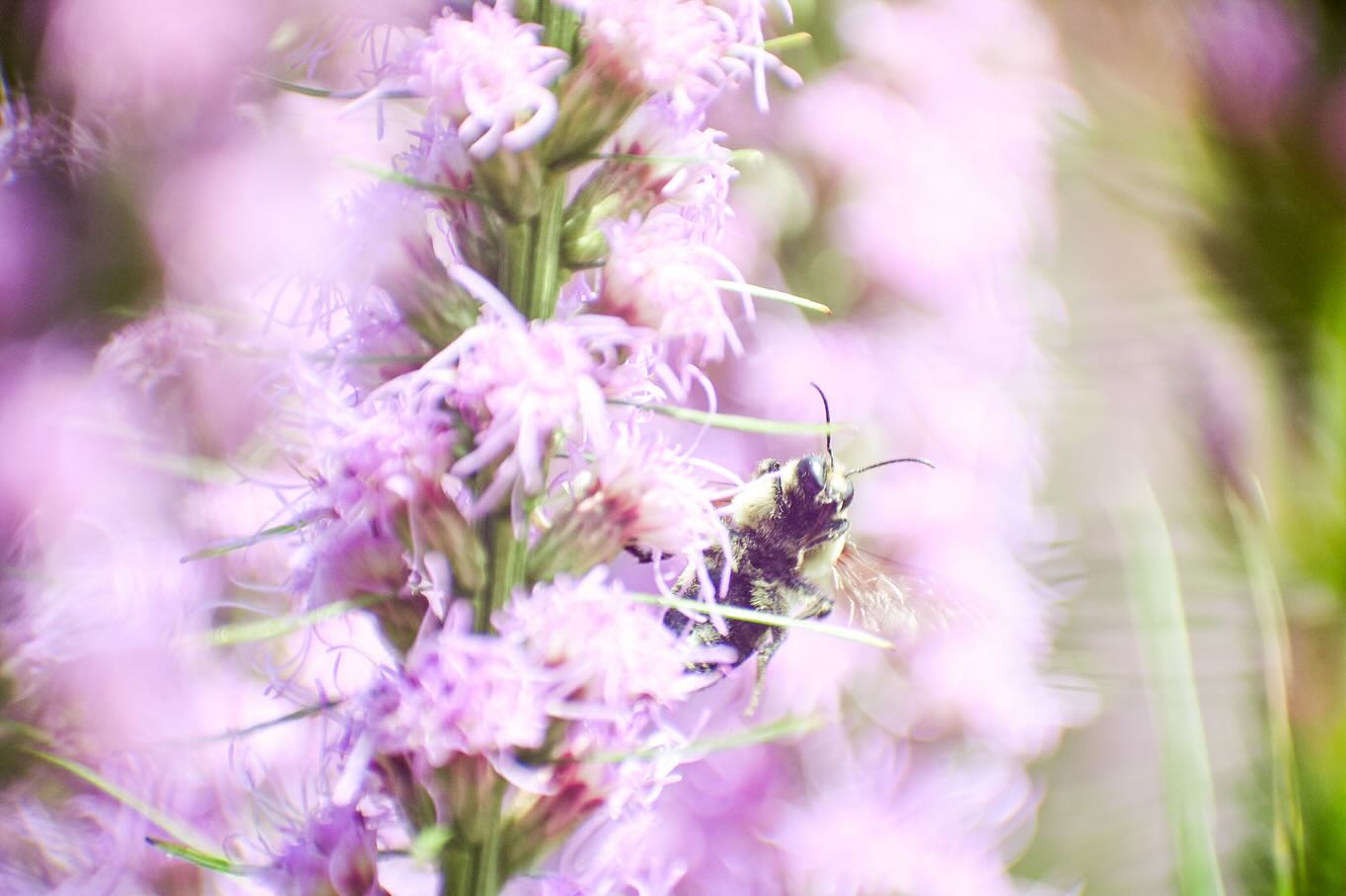 Some images I took on my Nikon this month