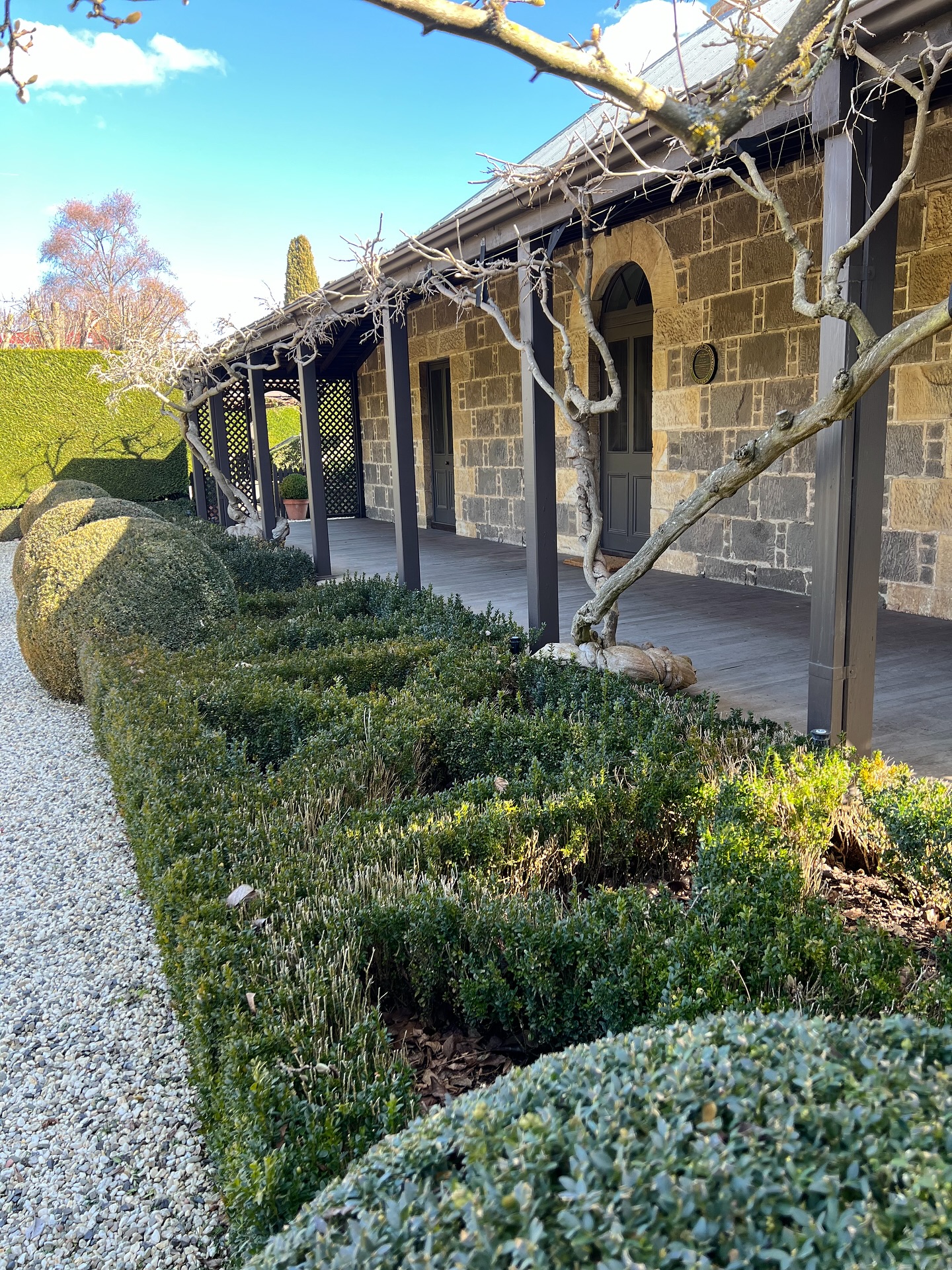 This is our first post for a while. One reason for the recent lack of posts is we’ve made the difficult decision to close the Old Rectory Bed and Breakfast. Bookings remain available through to early March so if you wish to experience a stay in a classic heritage house and garden now is the time to book!
Fergus, Hugh and Tim from @ruralgardensaustralia have.prepped the garden for Spring yet even now in winter, when virtually nothing but the garden’s structure is apparent, if still looks beautiful!
Booking enquires may be made via our website or @airbnb
@visitmacedonranges
@daylesfordmacedonranges
@destinationventralvictoria
@visitvictoriaofficial
@nationaltrustvic
@piperstkyneton
#heritageaccommodation
#kyneton
#foodietown