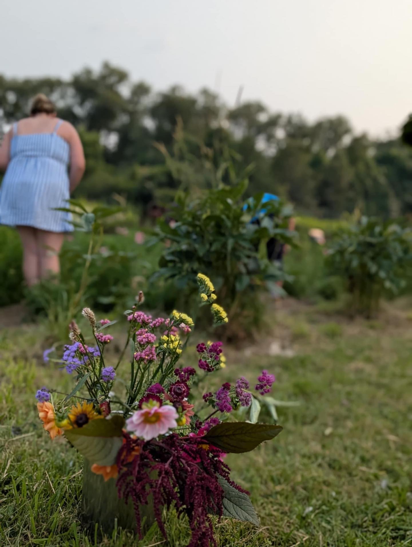 Our September events are coming up!
Get your tickets before they run out!
❤️ Bouquet Arranging Evenings
🗓️September 12th
⏰6pm-7:30pm
📍The Garden In Harrington
🎟️ https://www.eventbrite.ca/e/bouquet-arranging-evenings-tickets-1351677887949
💛Firelit Evenings at The Garden
🗓️ September 19th
⏰ 7pm-10pm
📍The Garden In Harrington
🎟️ https://www.eventbrite.ca/e/firelit-evenings-in-the-garden-registration-1339535419499
🧡Escape & Enjoy Day Retreat
🗓️September 21st
⏰ 10am-4pm
📍The Garden In Harrington
🎟️ https://www.eventbrite.ca/e/escape-enjoy-day-retreat-tickets-1342772451549
❤️ Rewind and Relax Afternoon Retreat
🗓️ September 28th
⏰2pm-8pm
📍The Garden In Harrington
🎟️ https://www.eventbrite.ca/e/rewind-relax-day-retreat-tickets-1564330327119